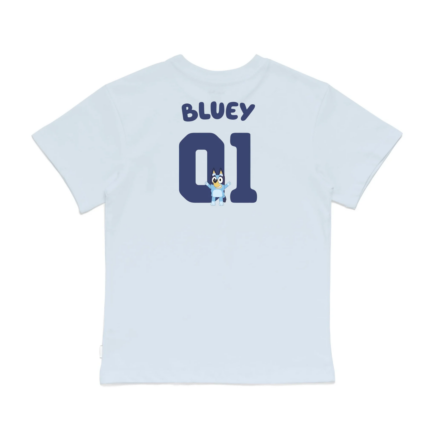 Roys Boys Bue T-Shirt Imagery_0008_Older Kids Back
