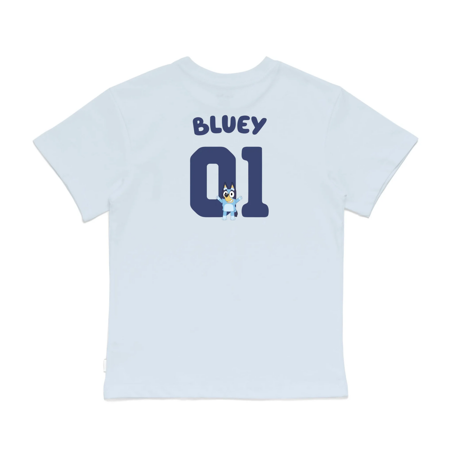 Roys Boys Bue T-Shirt Imagery_0008_Older Kids Back