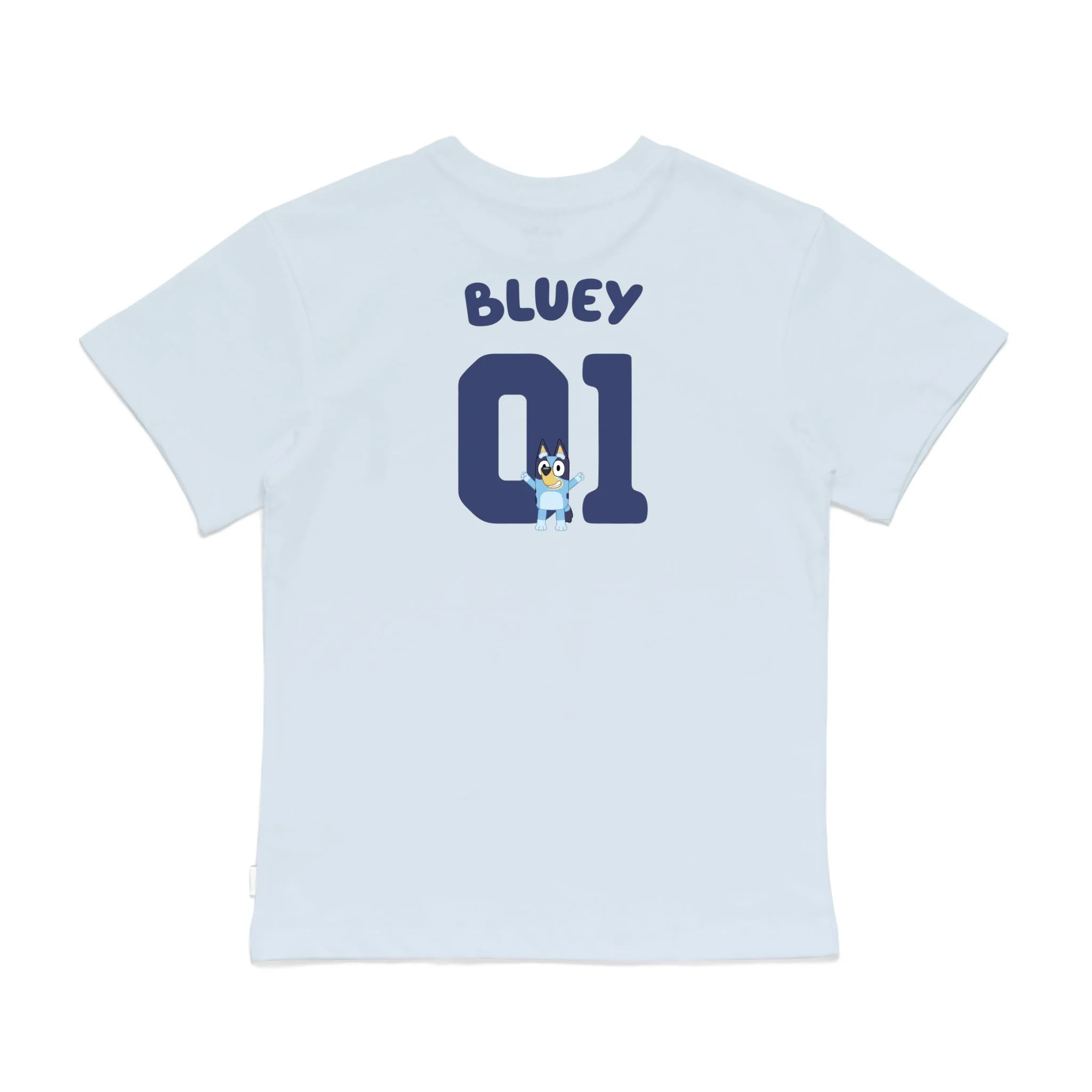 Roys Boys Bue T-Shirt Imagery_0008_Older Kids Back