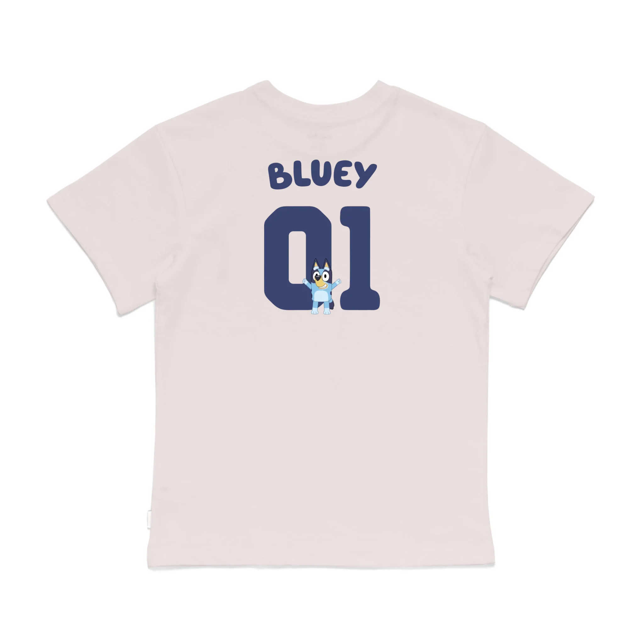Roys Boys Pink T-Shirt Imagery_0008_Older Kids Back