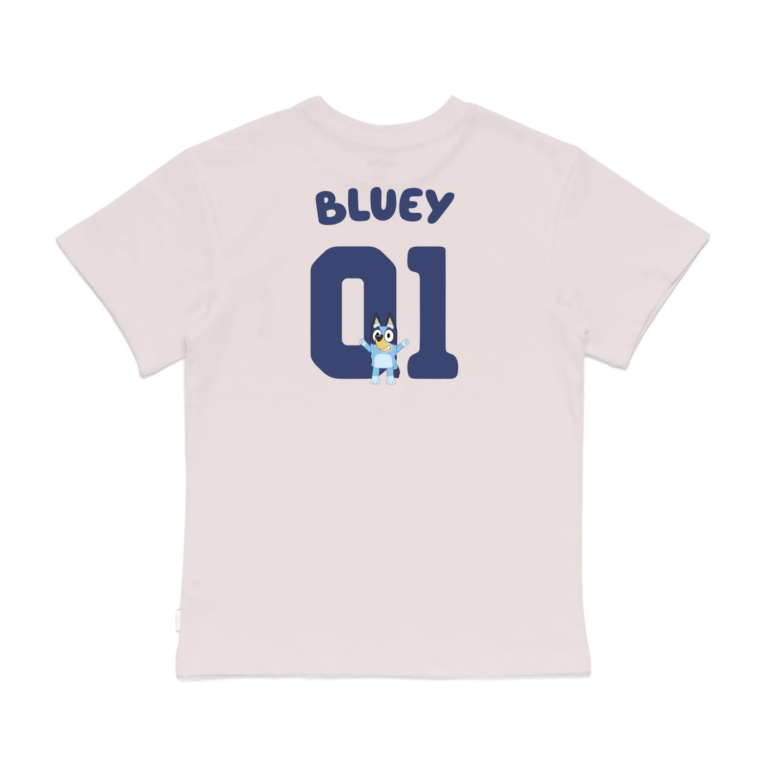 Roys Boys Pink T-Shirt Imagery_0008_Older Kids Back