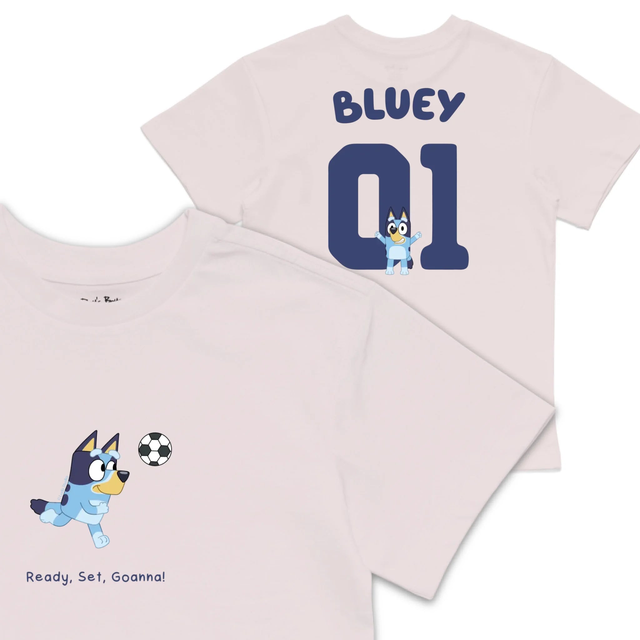 Roys Boys Pink T-Shirt Imagery_0008_Older Kids front back
