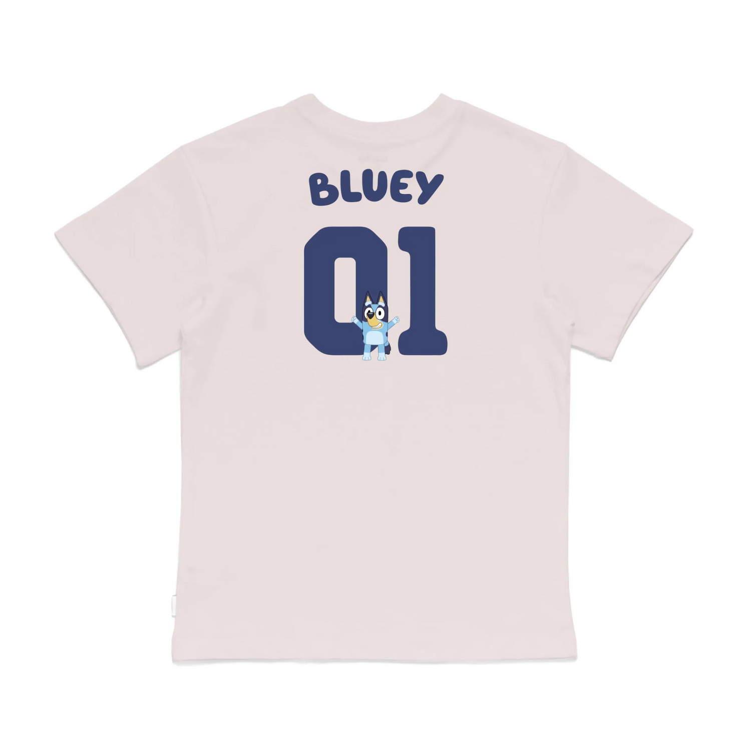 Roys Boys Pink T-Shirt Imagery_0008_Older Kids Back