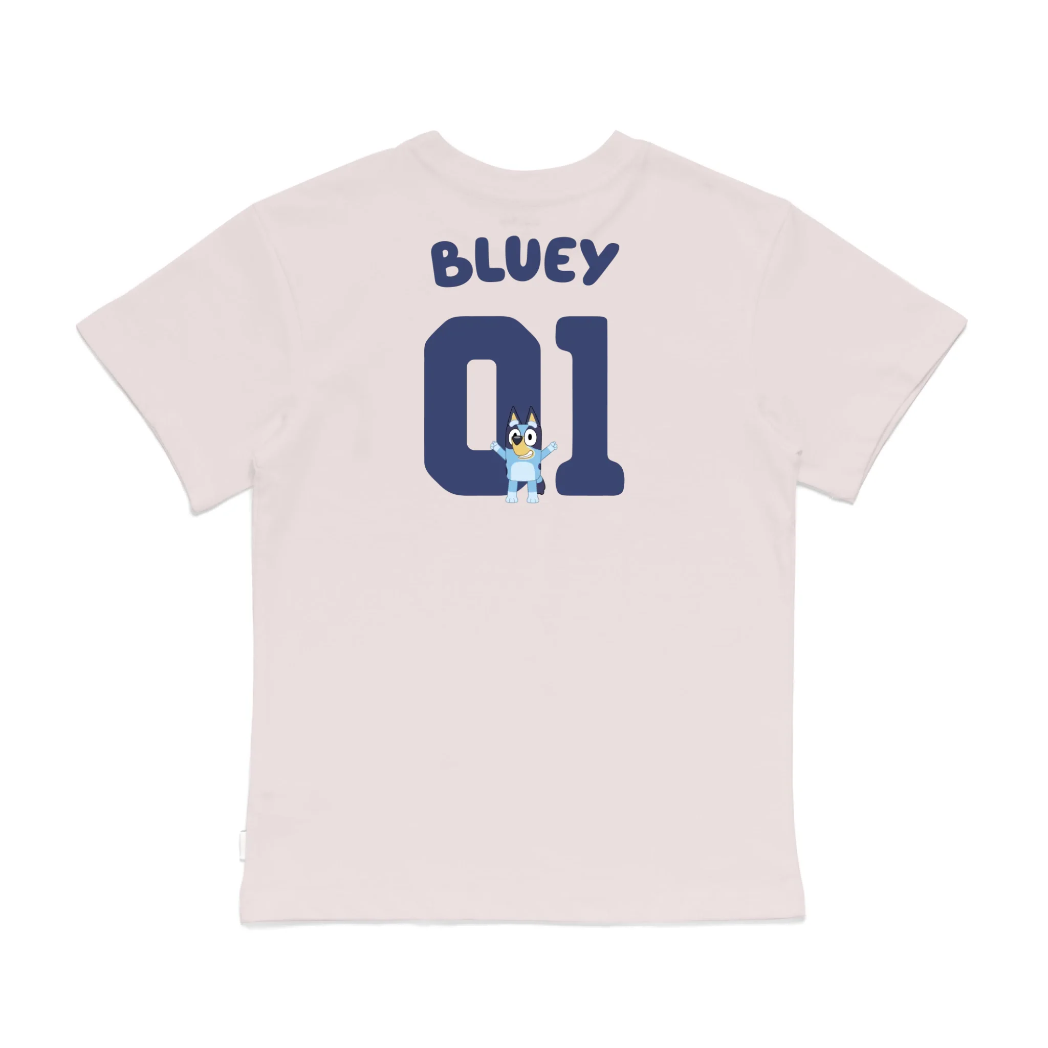 Roys Boys Pink T-Shirt Imagery_0008_Older Kids Back