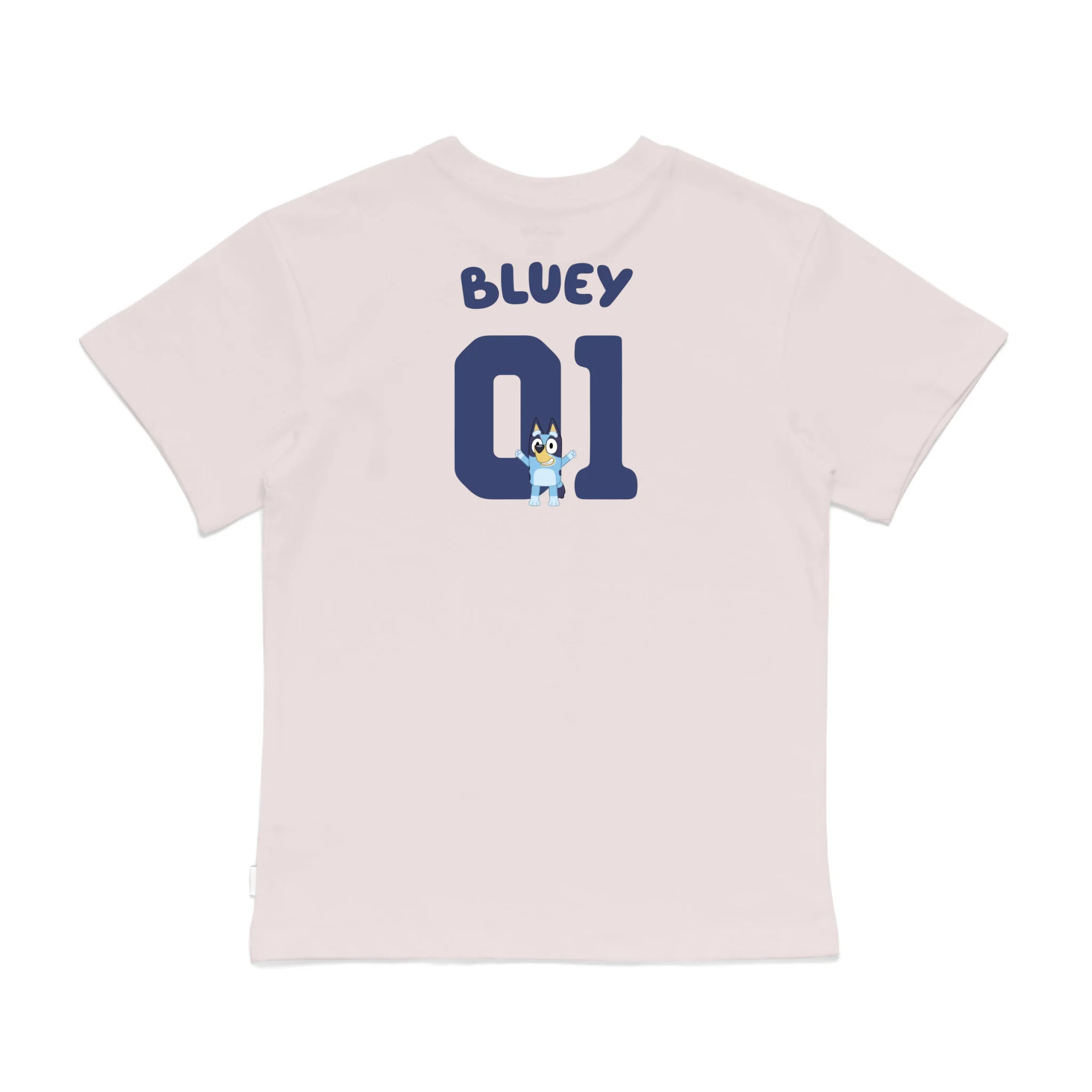 Roys Boys Pink T-Shirt Imagery_0008_Older Kids Back