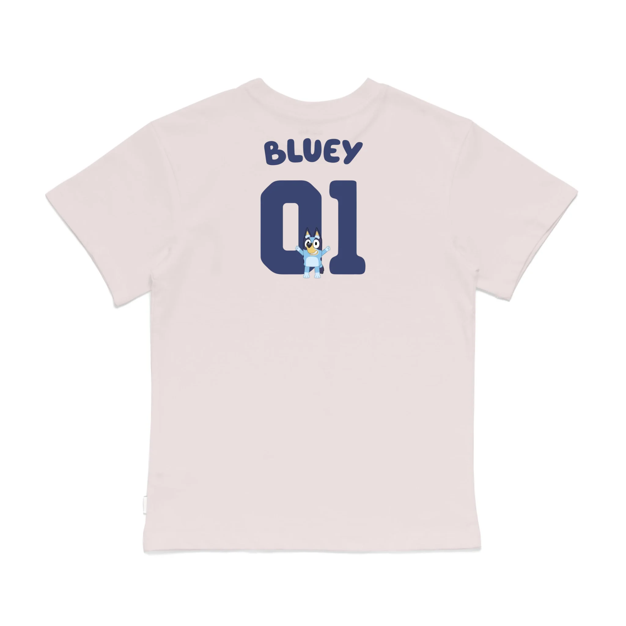 Roys Boys Pink T-Shirt Imagery_0008_Older Kids Back