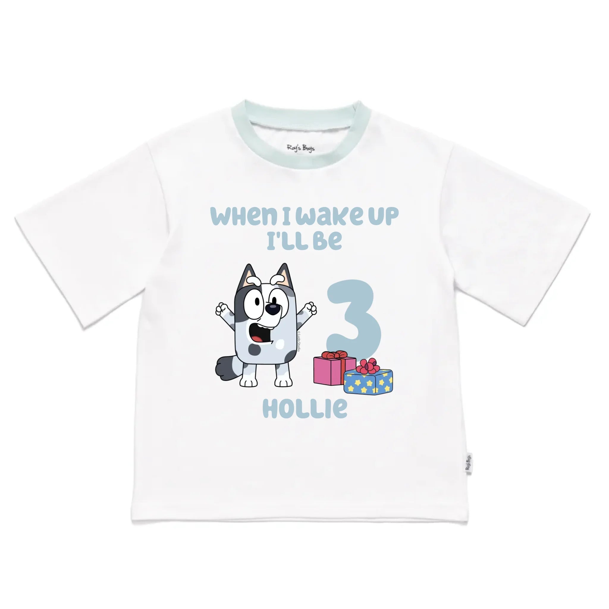 Roys_Boys_Pyjamas_Blank_Short_Sleeve_Tee_front