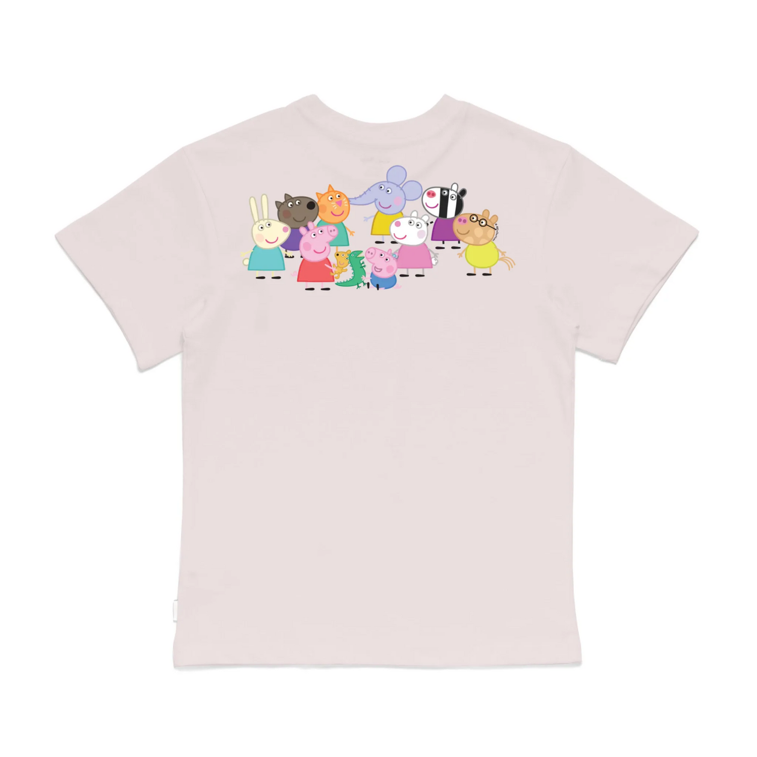 Roys Boys Pink T-Shirt Imagery_0008_Older Kids Back