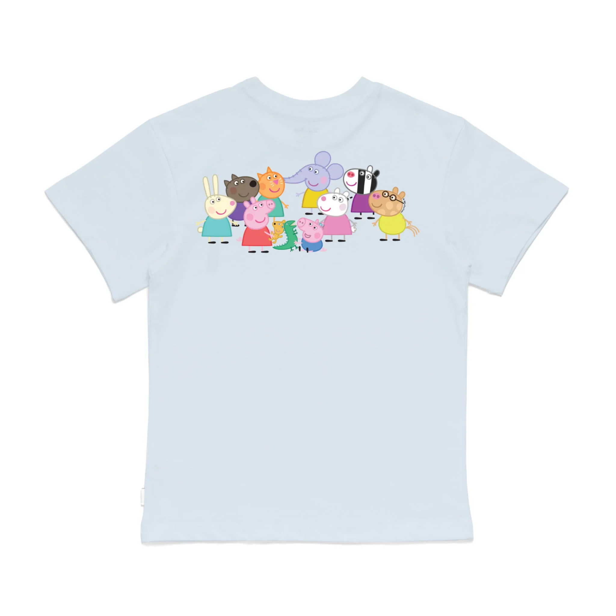 Roys Boys Bue T-Shirt Imagery_0008_Older Kids Back