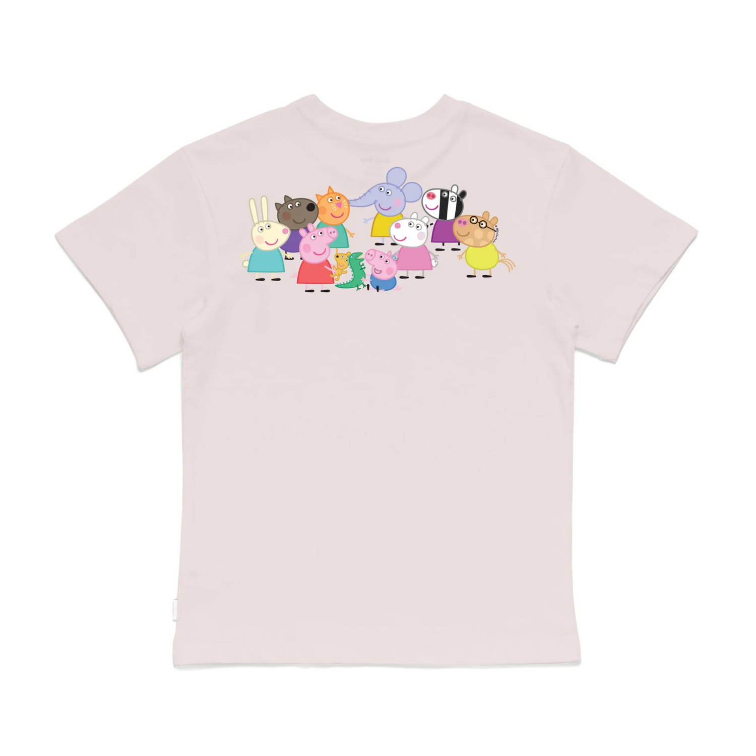 Roys Boys Pink T-Shirt Imagery_0008_Older Kids Back