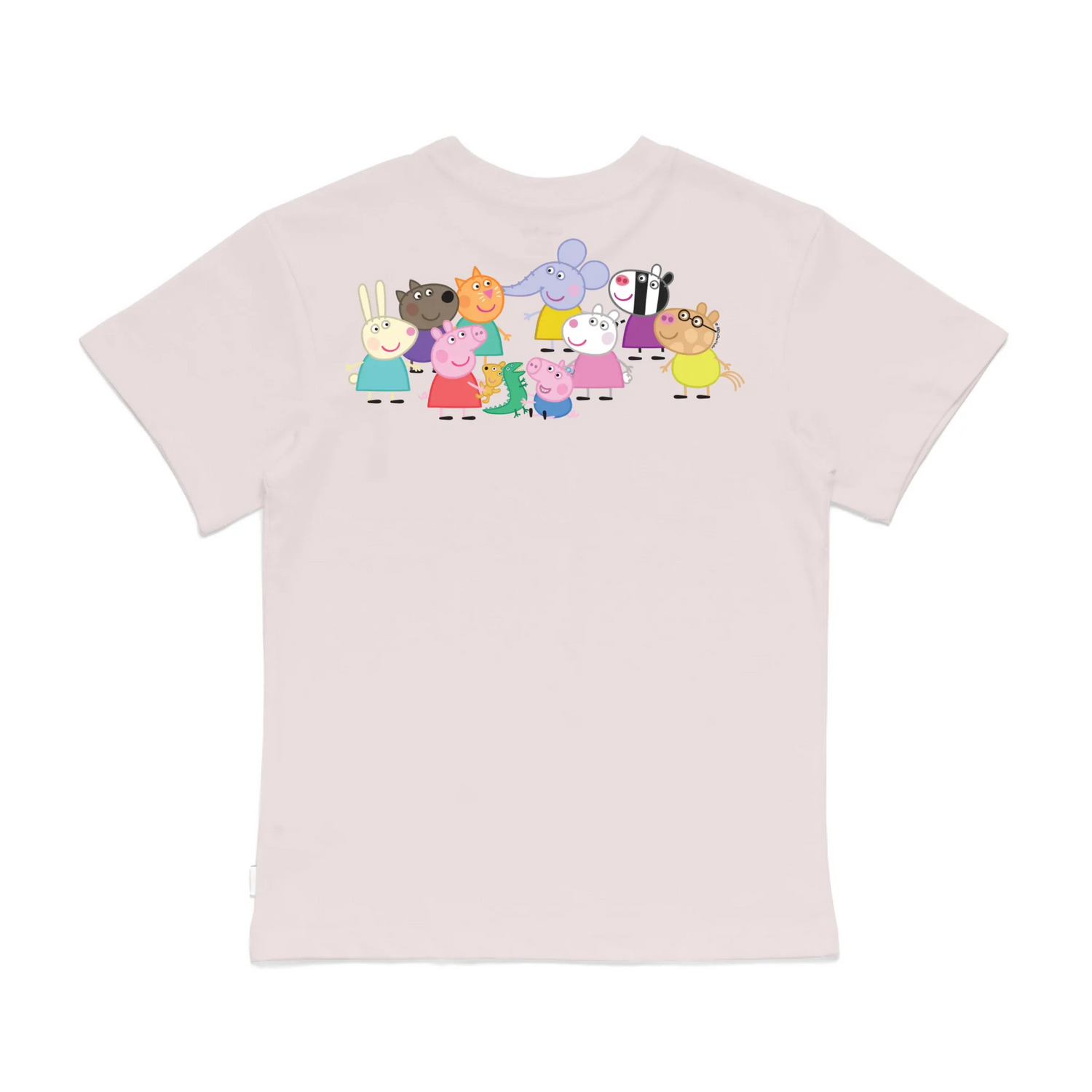 Roys Boys Pink T-Shirt Imagery_0008_Older Kids Back