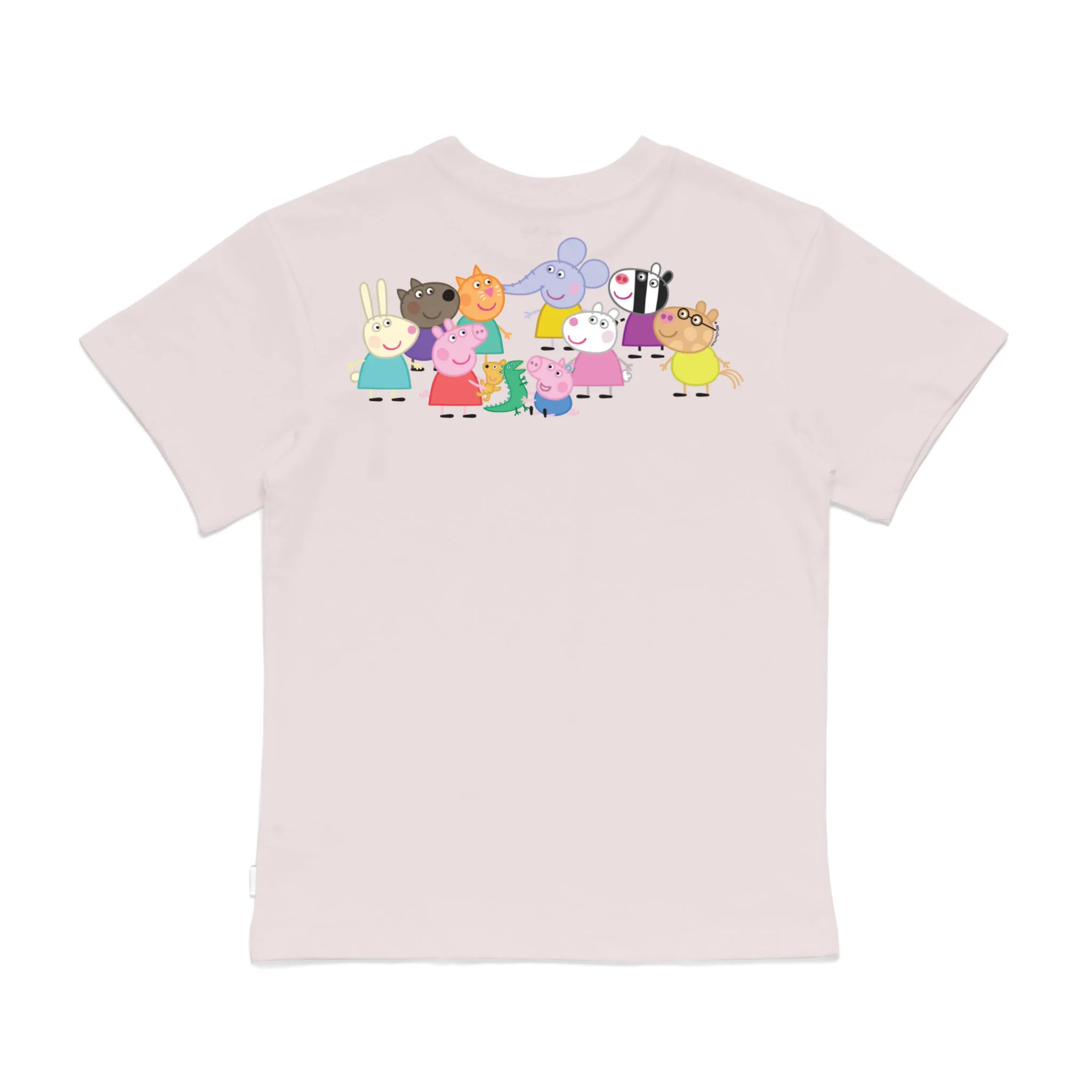 Roys Boys Pink T-Shirt Imagery_0008_Older Kids Back
