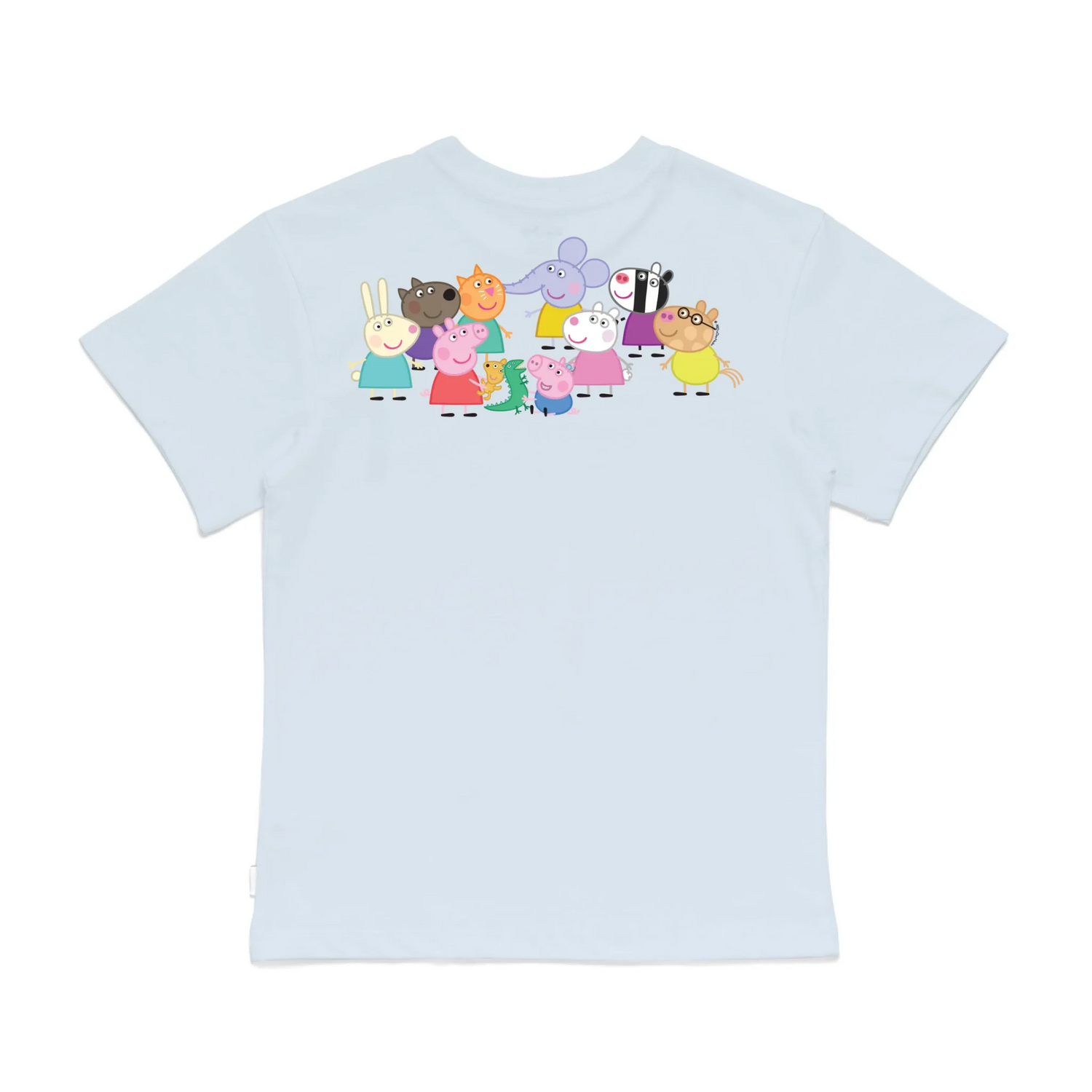 Roys Boys Bue T-Shirt Imagery_0008_Older Kids Back