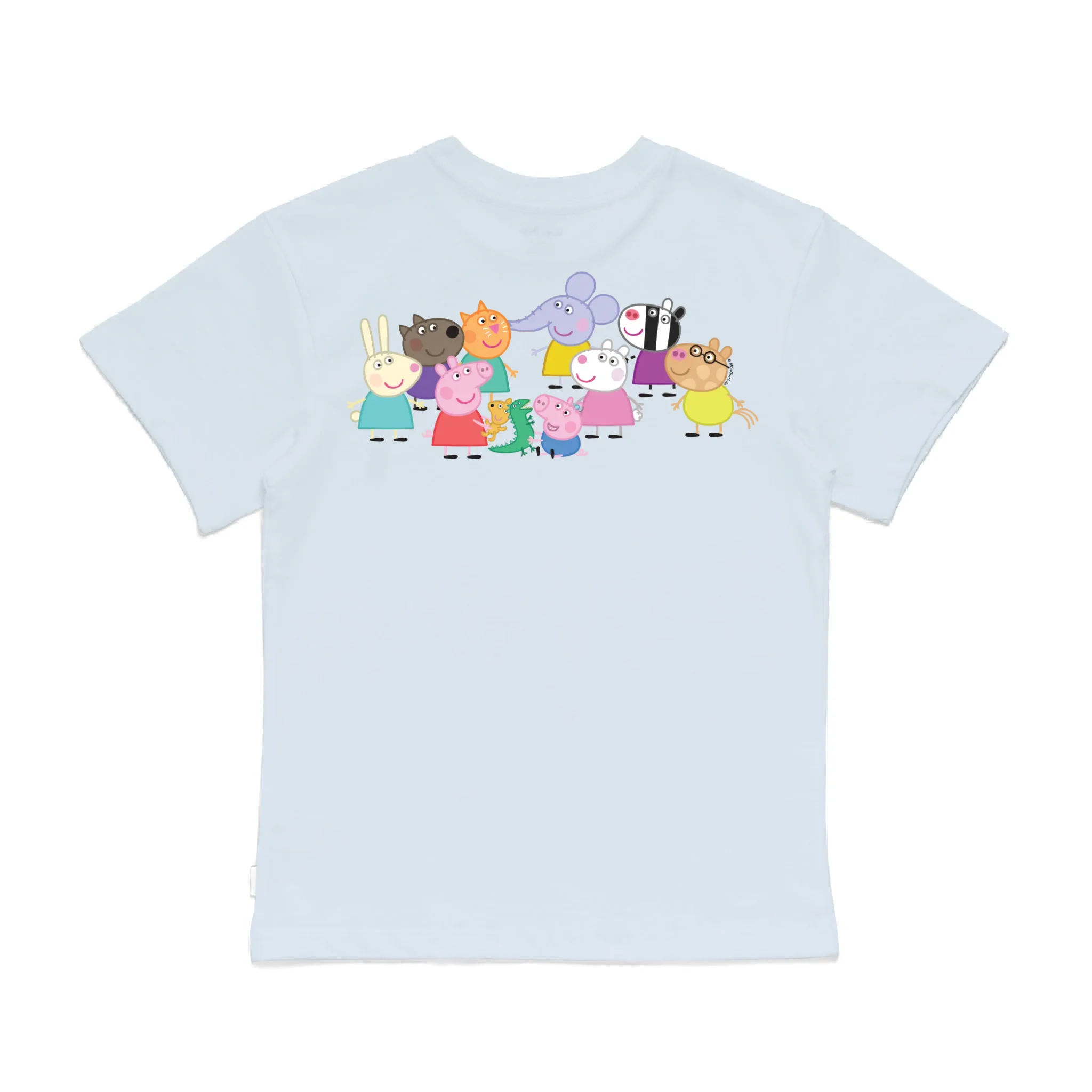 Roys Boys Bue T-Shirt Imagery_0008_Older Kids Back