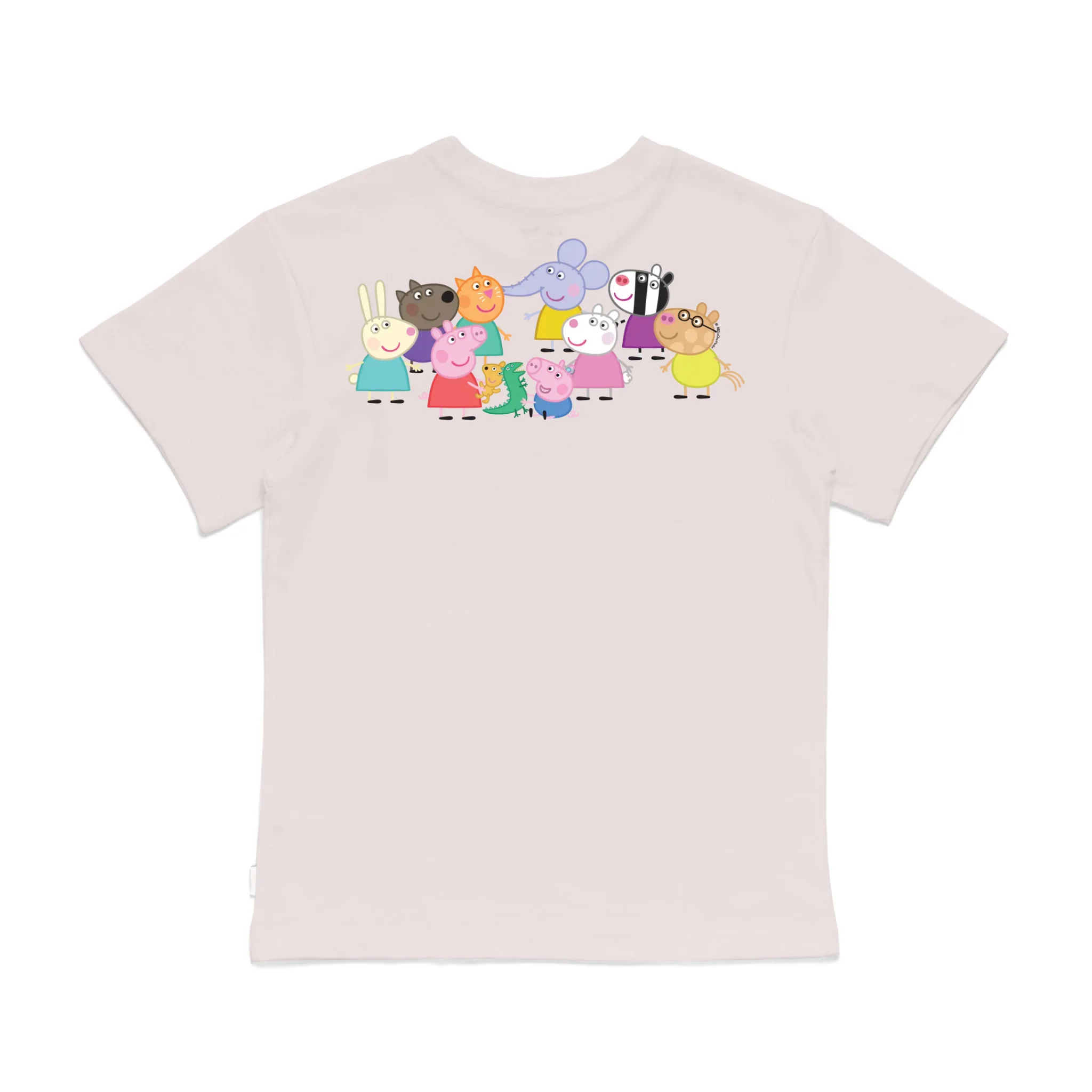 Roys Boys Pink T-Shirt Imagery_0008_Older Kids Back