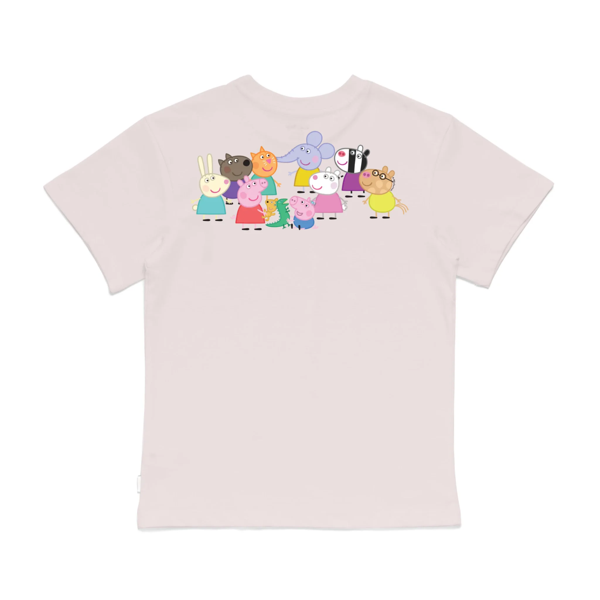 Roys Boys Pink T-Shirt Imagery_0008_Older Kids Back