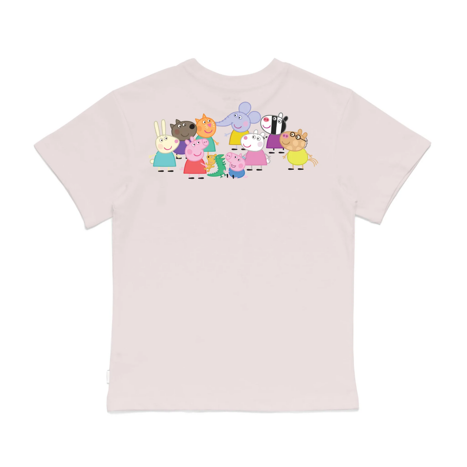 Roys Boys Pink T-Shirt Imagery_0008_Older Kids Back