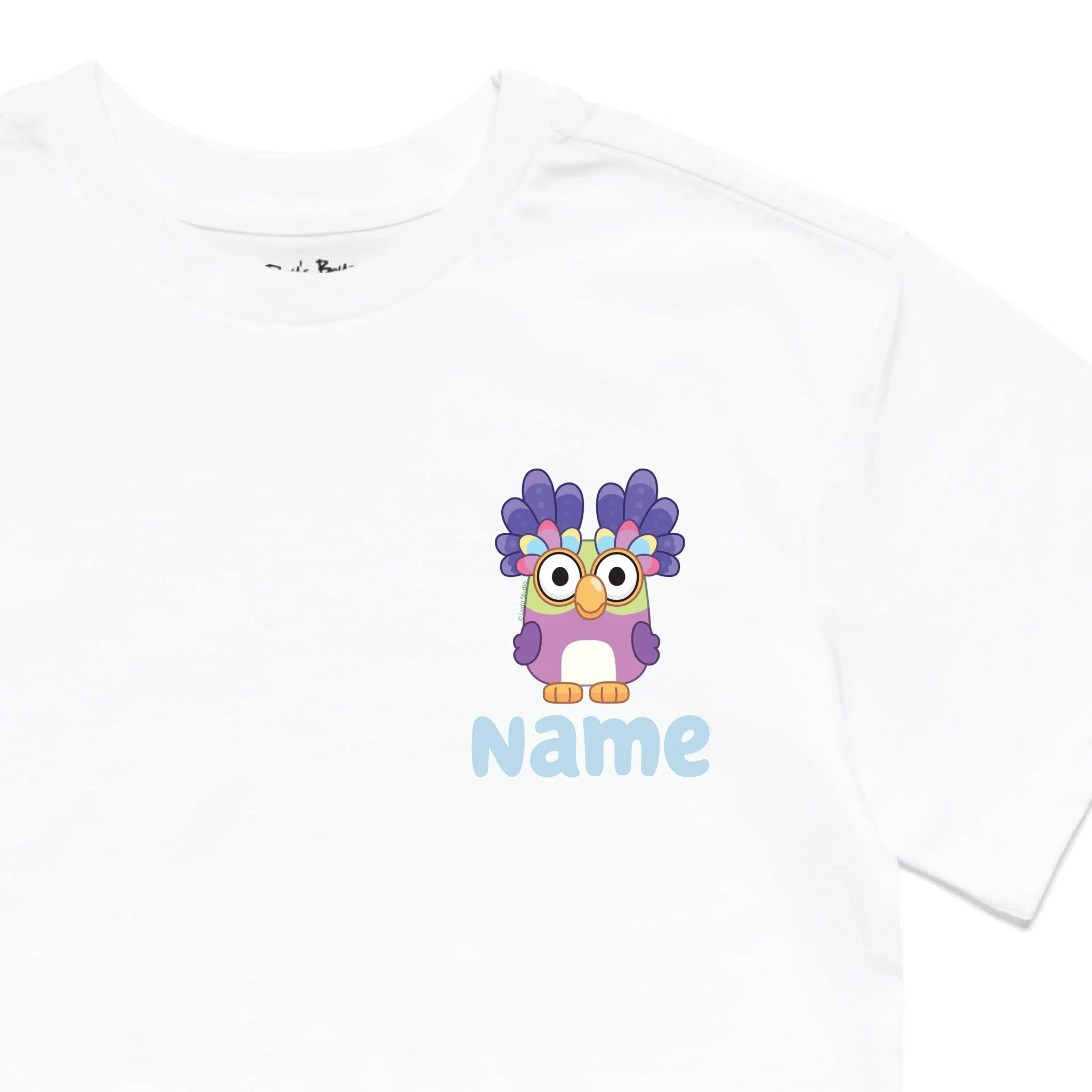 Roys Boys White T-Shirt Imagery_0010_Older Kids Front Zoomed In-01