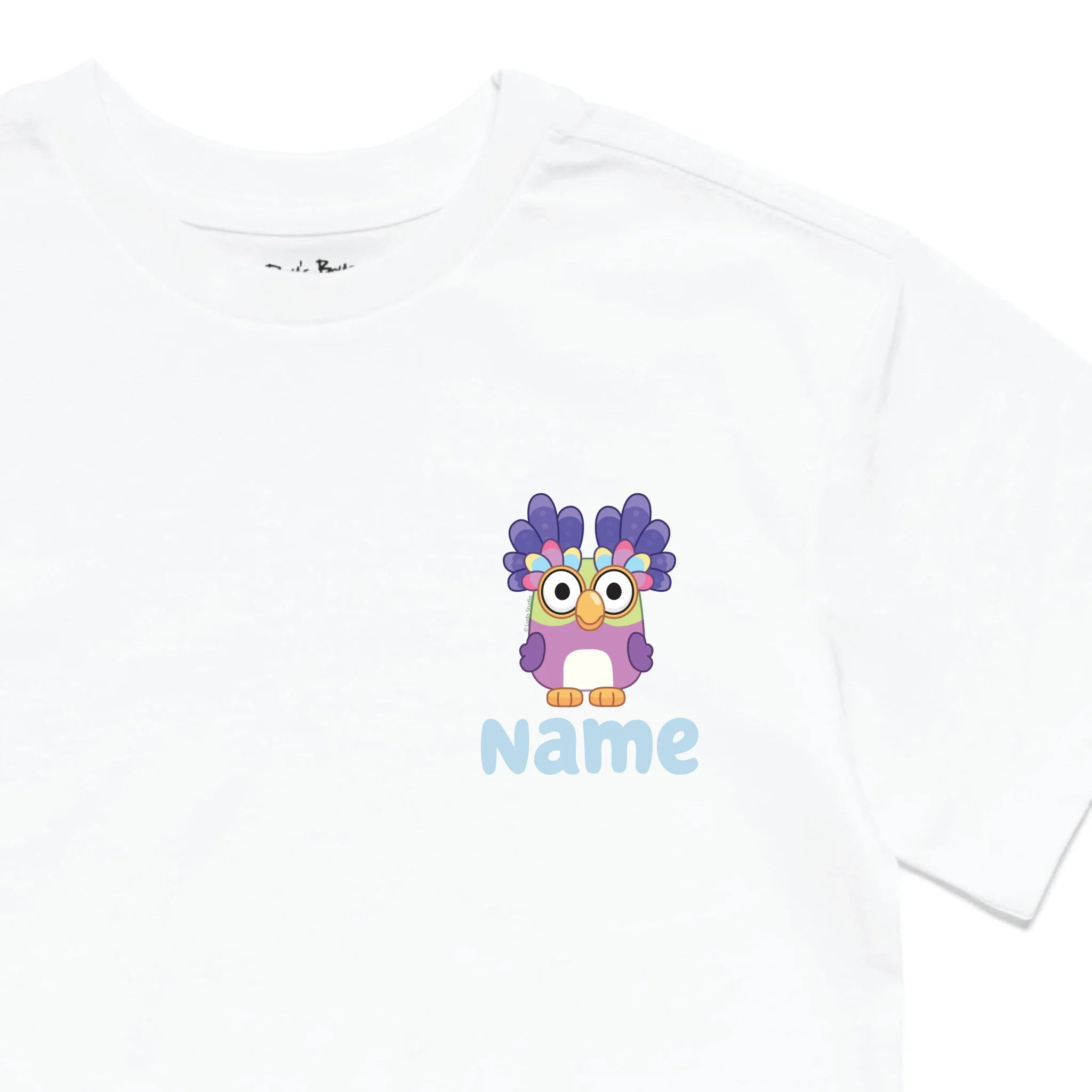 Roys Boys White T-Shirt Imagery_0010_Older Kids Front Zoomed In-01