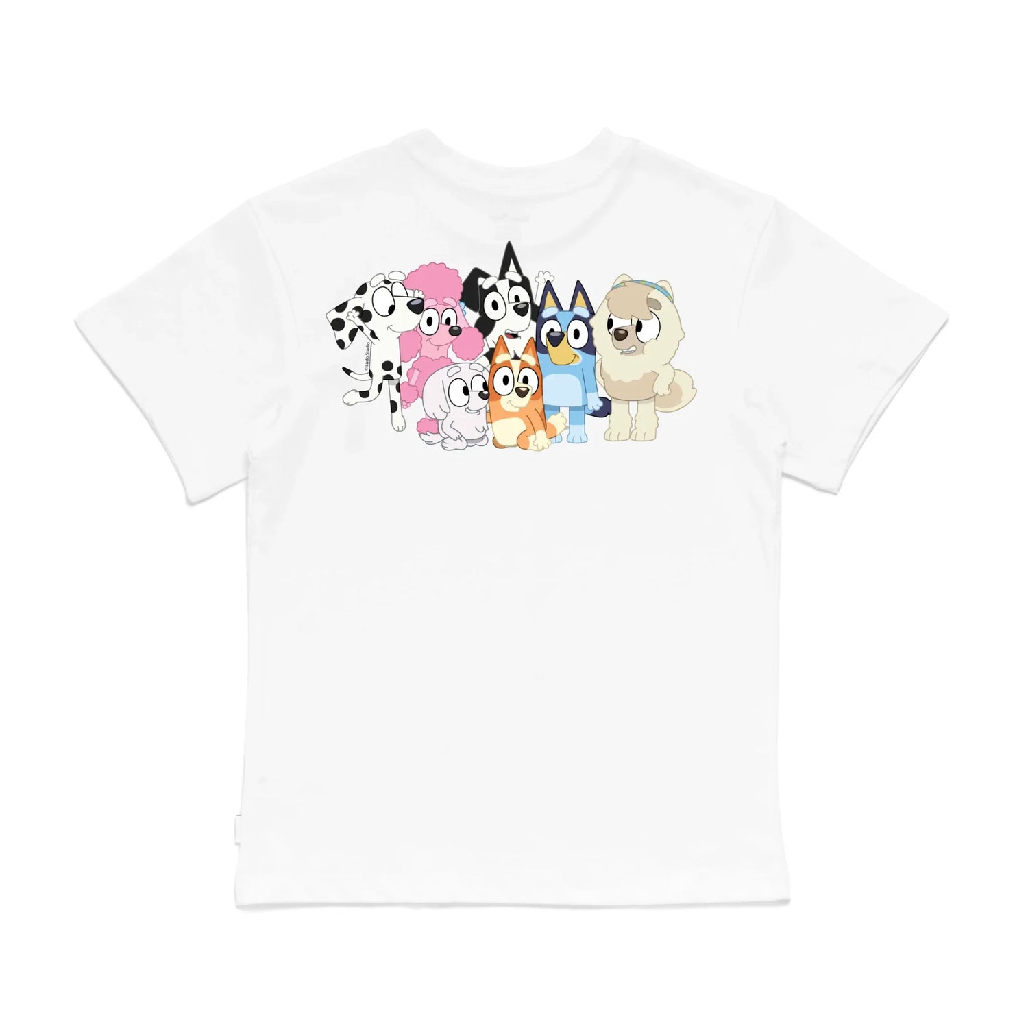 Roys Boys White T-Shirt Imagery_0008_Older Kids Back