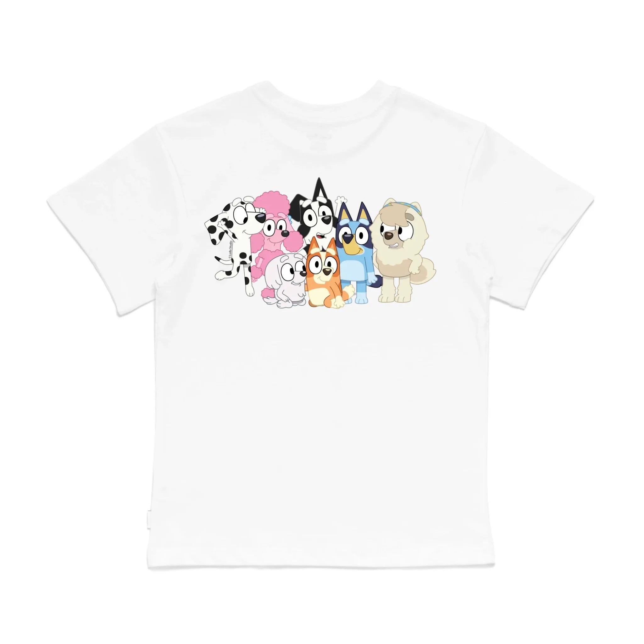 Roys Boys White T-Shirt Imagery_0008_Older Kids Back