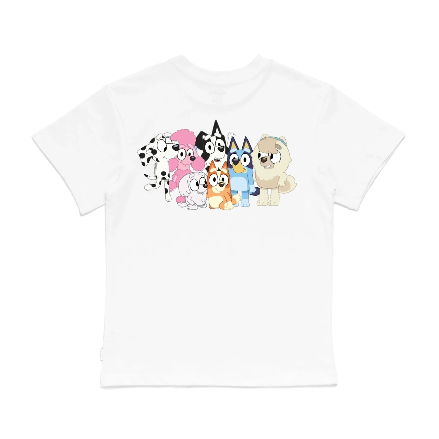 Roys Boys White T-Shirt Imagery_0008_Older Kids Back