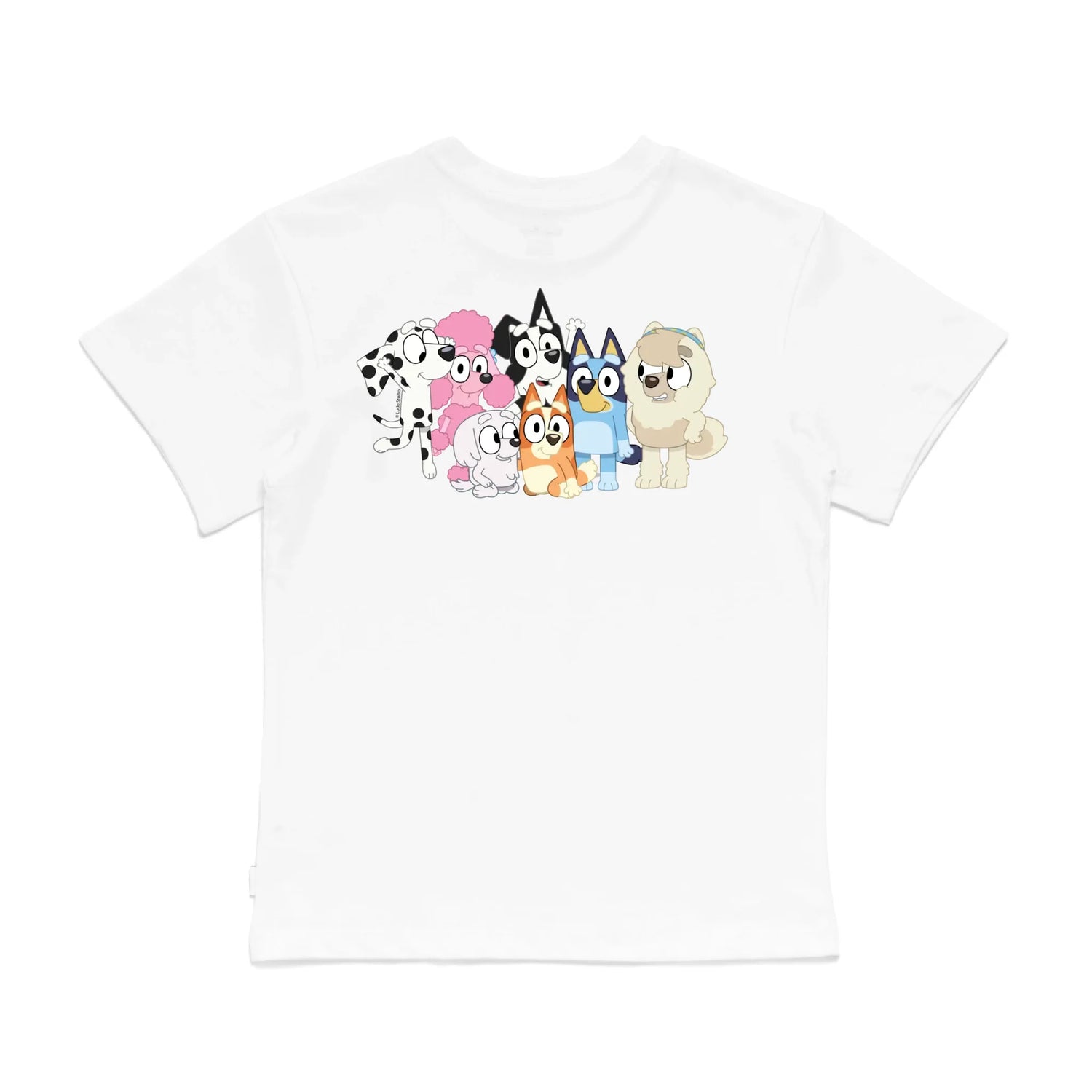 Roys Boys White T-Shirt Imagery_0008_Older Kids Back