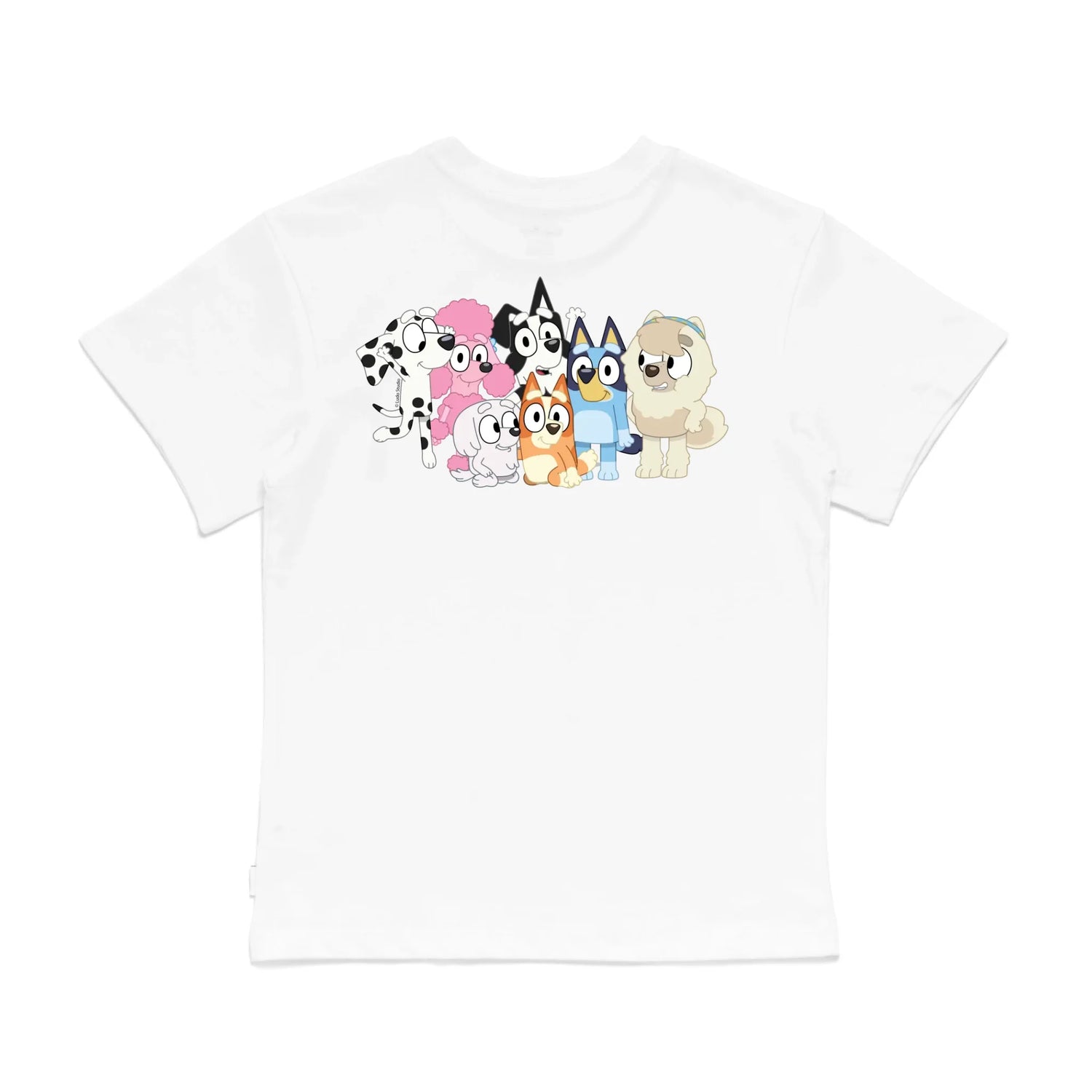 Roys Boys White T-Shirt Imagery_0008_Older Kids Back