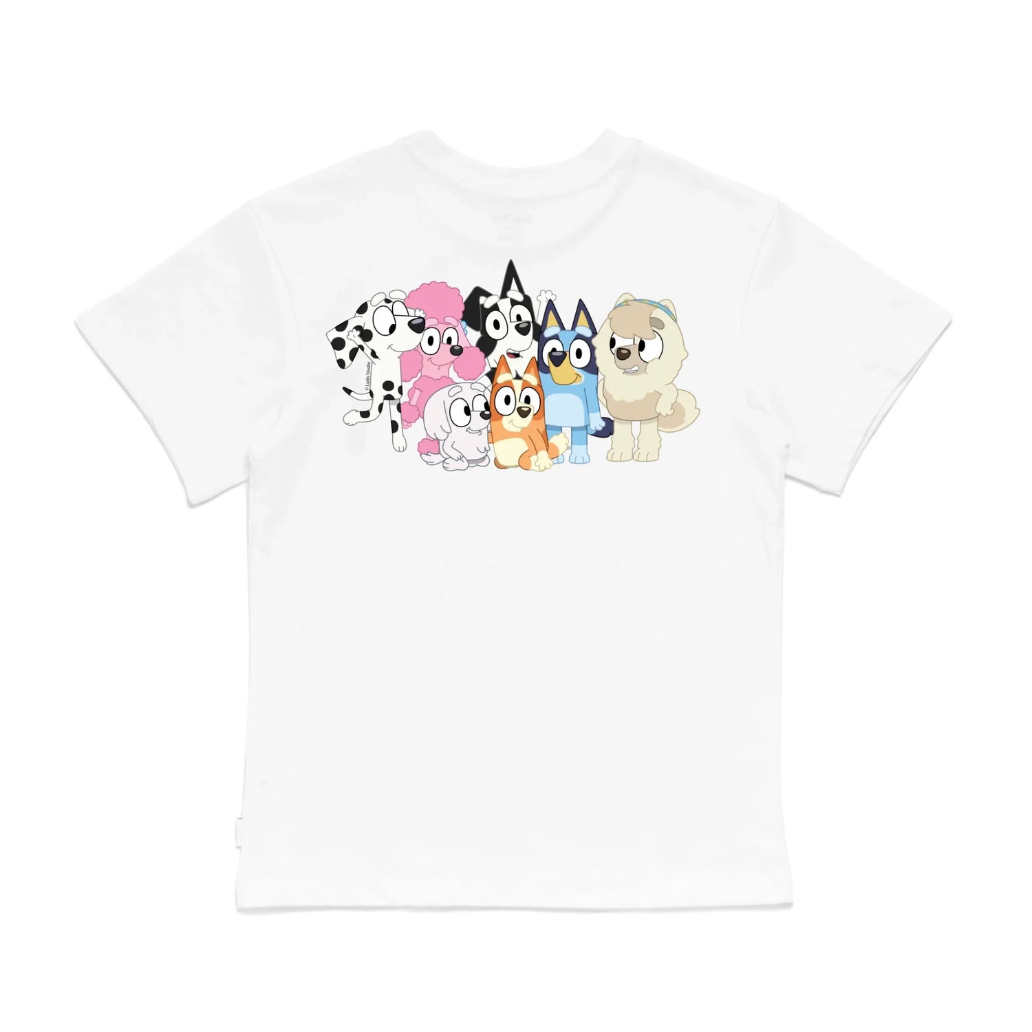 Roys Boys White T-Shirt Imagery_0008_Older Kids Back