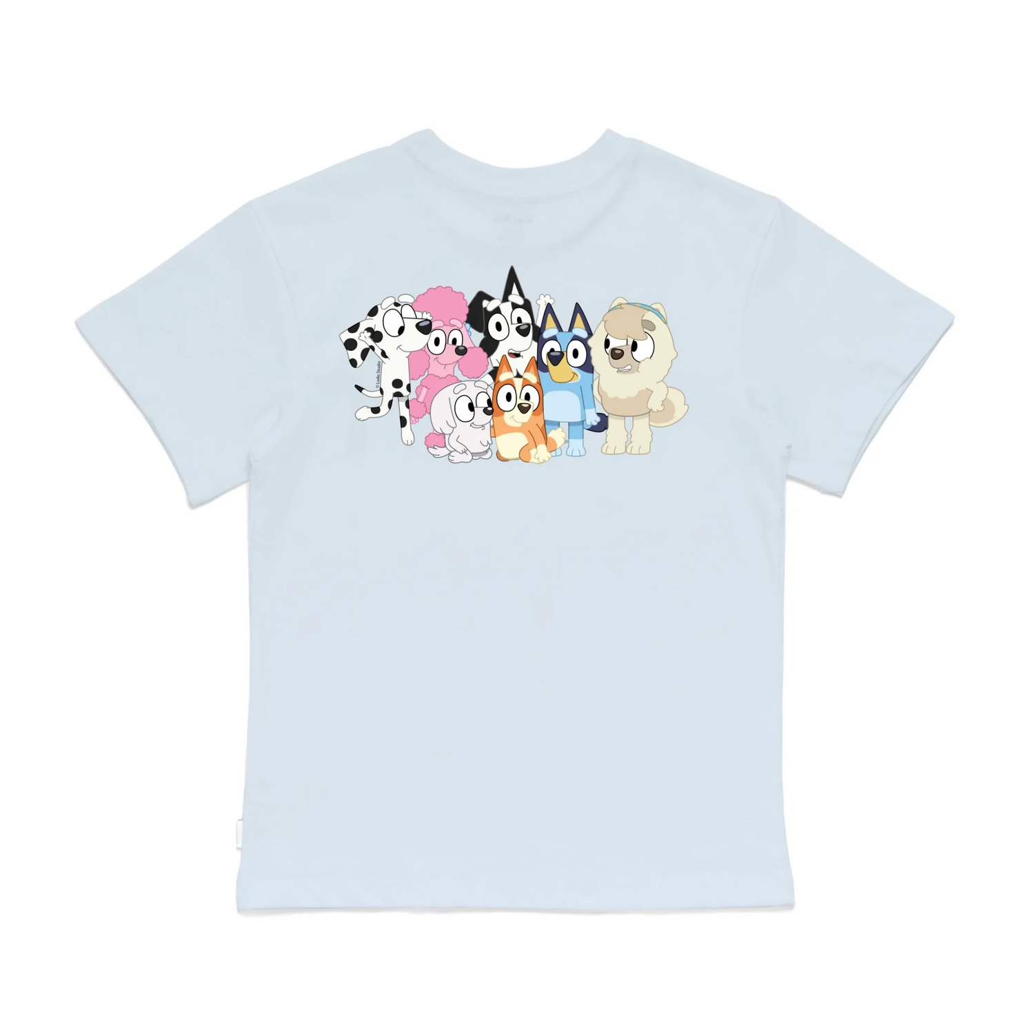 Roys Boys Bue T-Shirt Imagery_0008_Older Kids Back