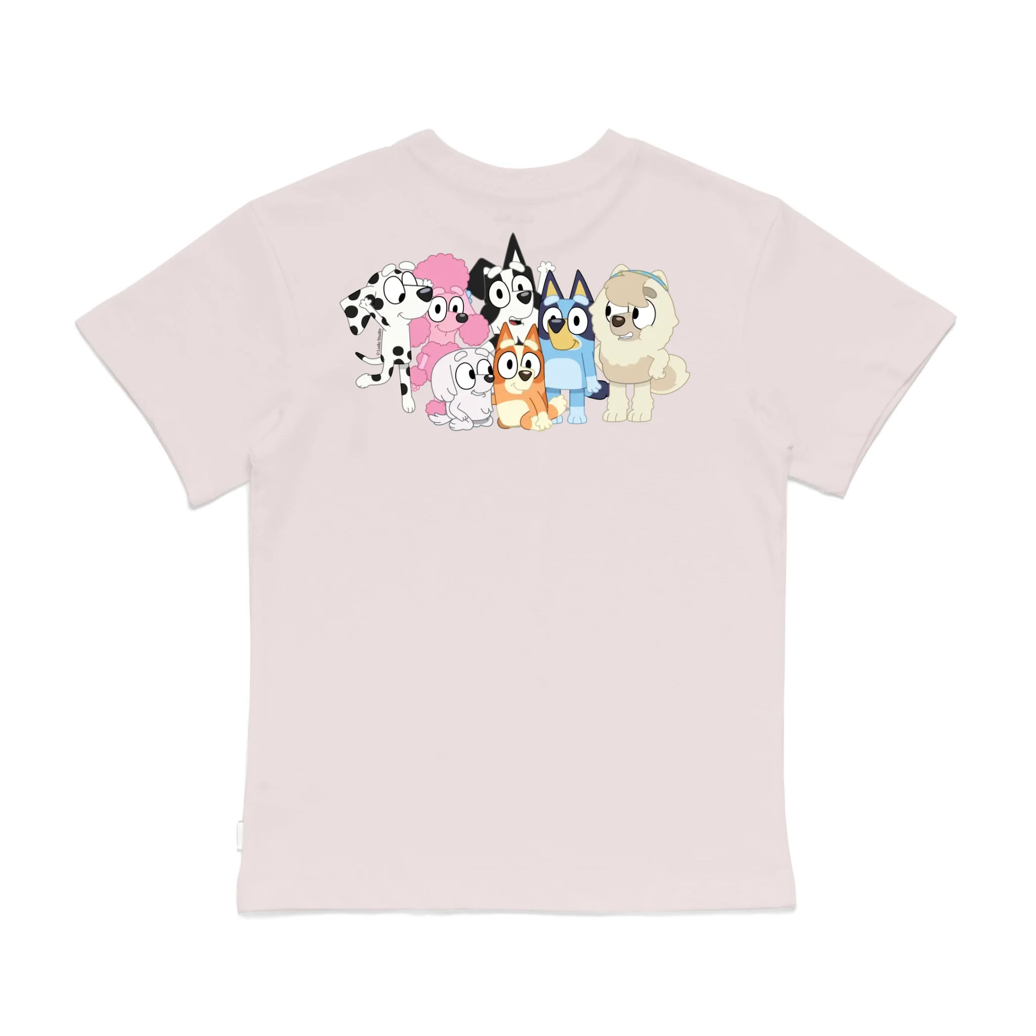 Roys Boys Pink T-Shirt Imagery_0008_Older Kids Back