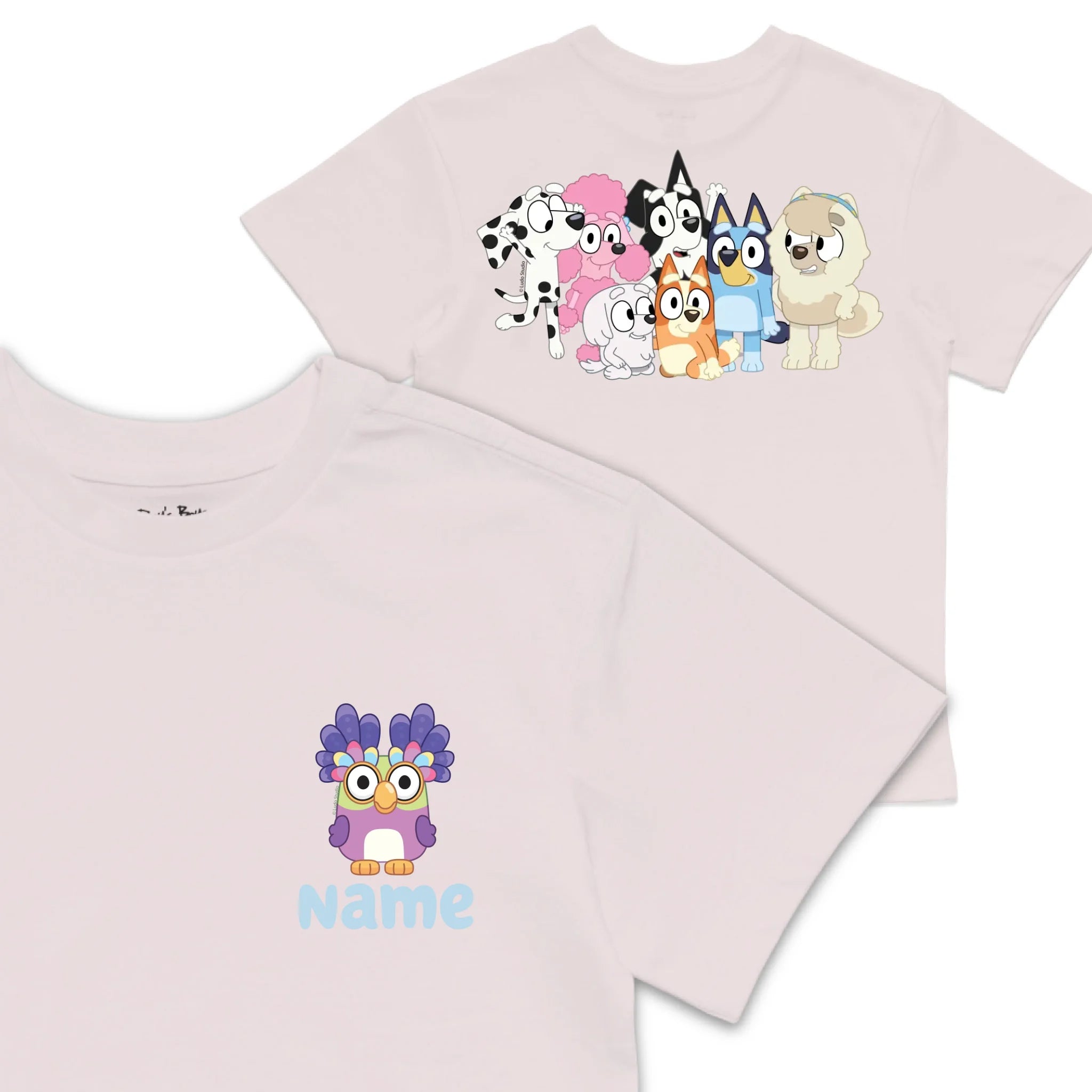 Roys Boys Pink T-Shirt Imagery_0008_Older Kids front back