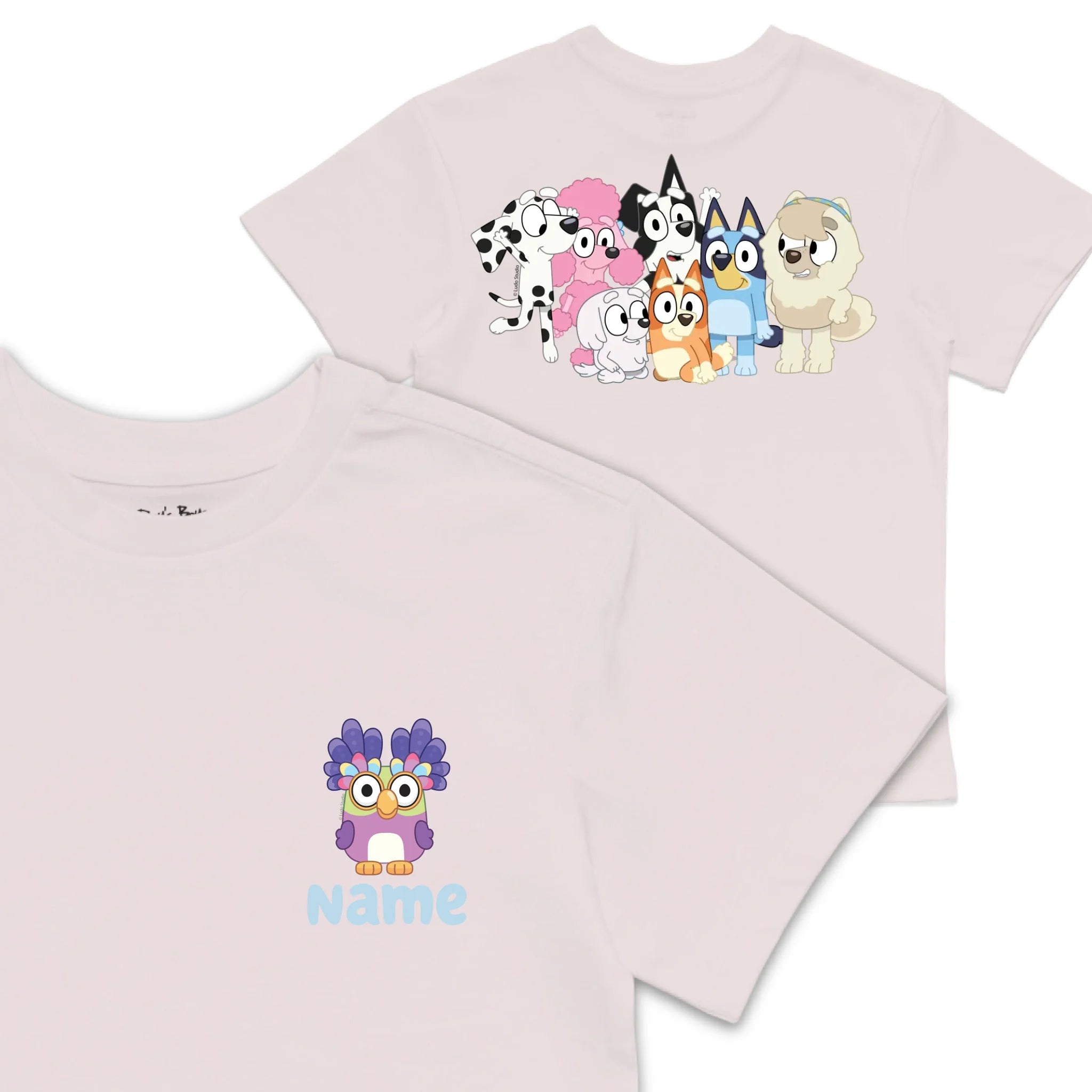 Roys Boys Pink T-Shirt Imagery_0008_Older Kids front back
