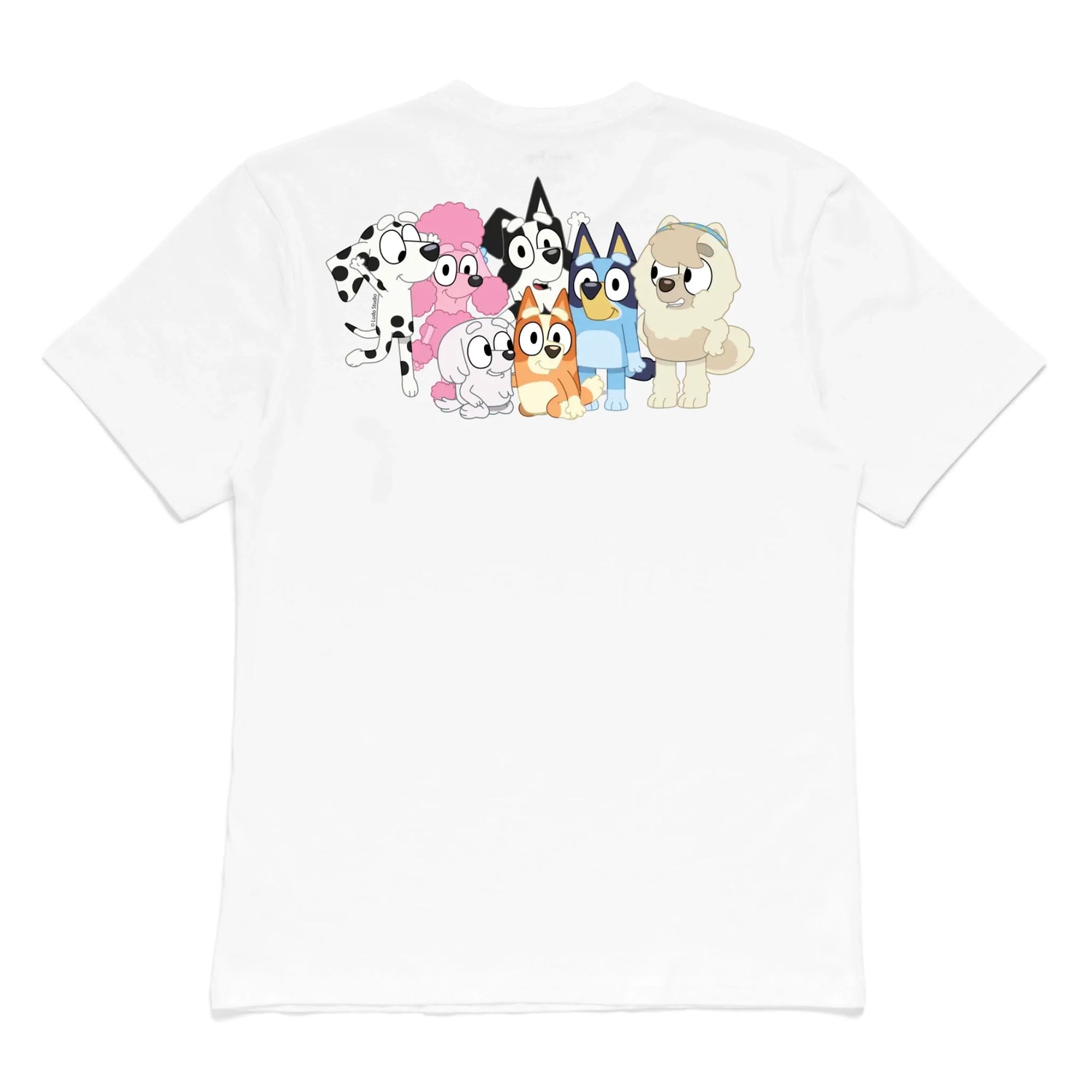 Roys Boys White T-Shirt Imagery_0000_Mens Front