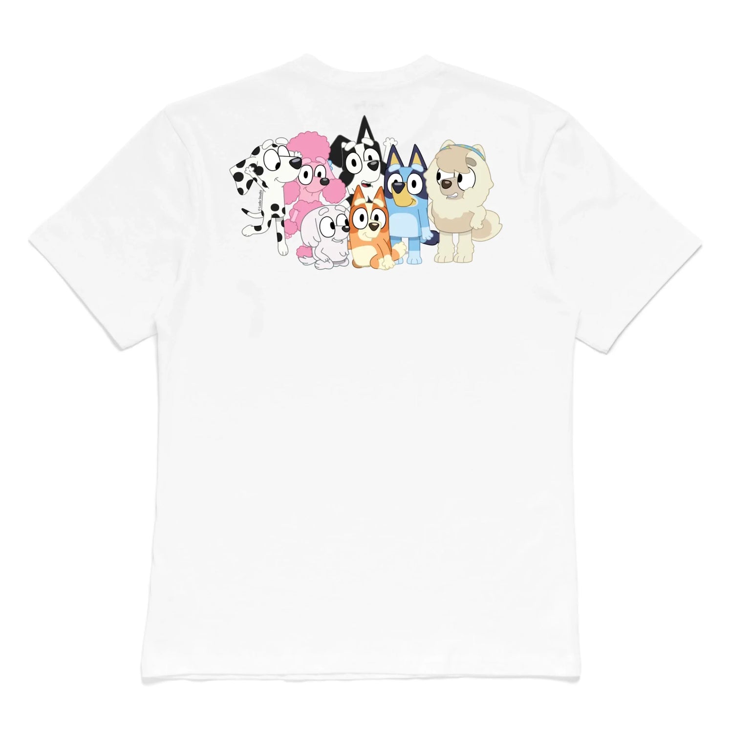Roys Boys White T-Shirt Imagery_0001_Mens Back