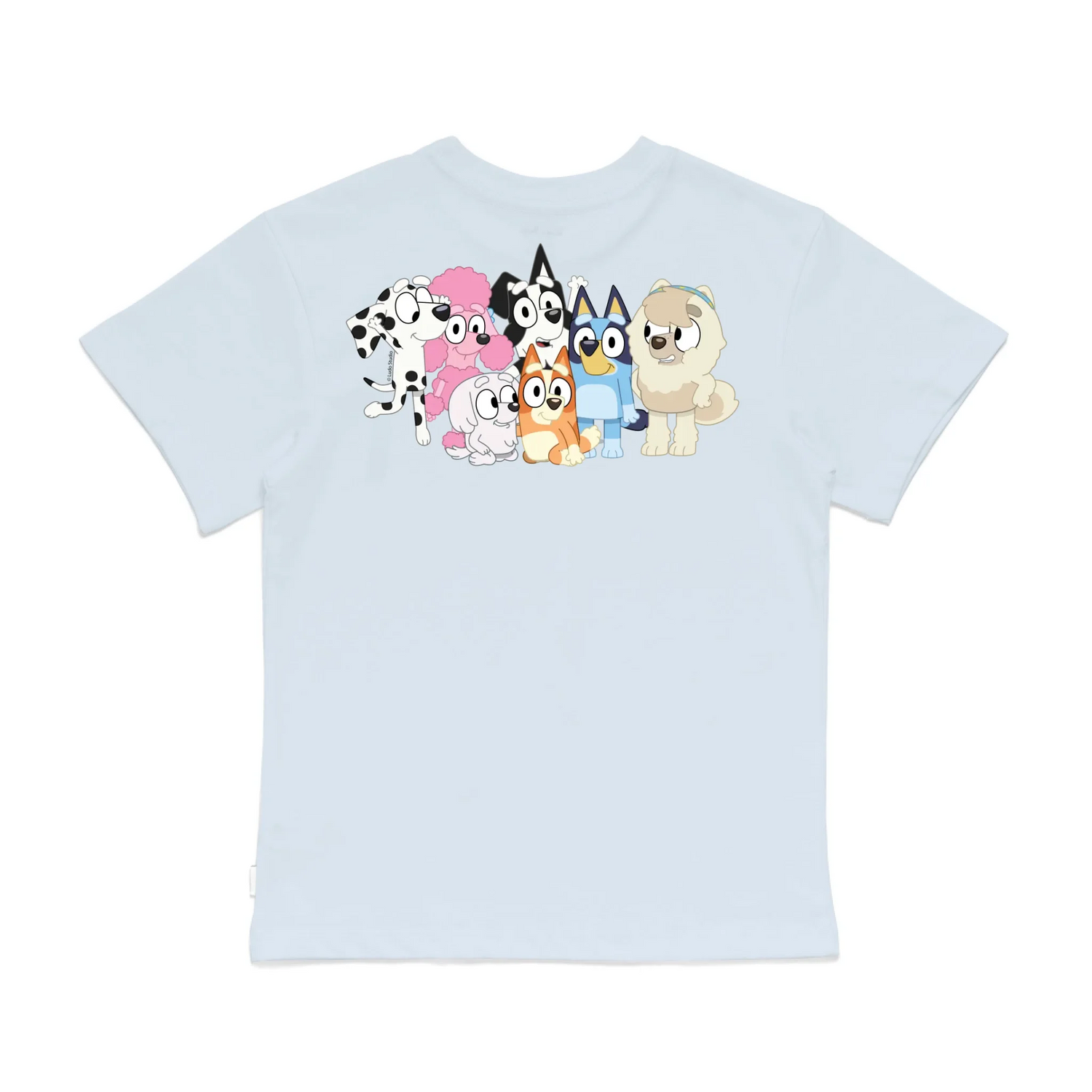 Roys Boys Bue T-Shirt Imagery_0008_Older Kids Back
