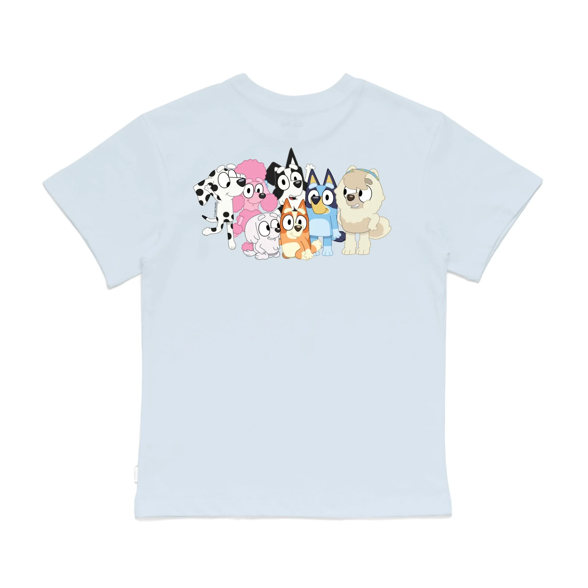 Roys Boys Bue T-Shirt Imagery_0008_Older Kids Back