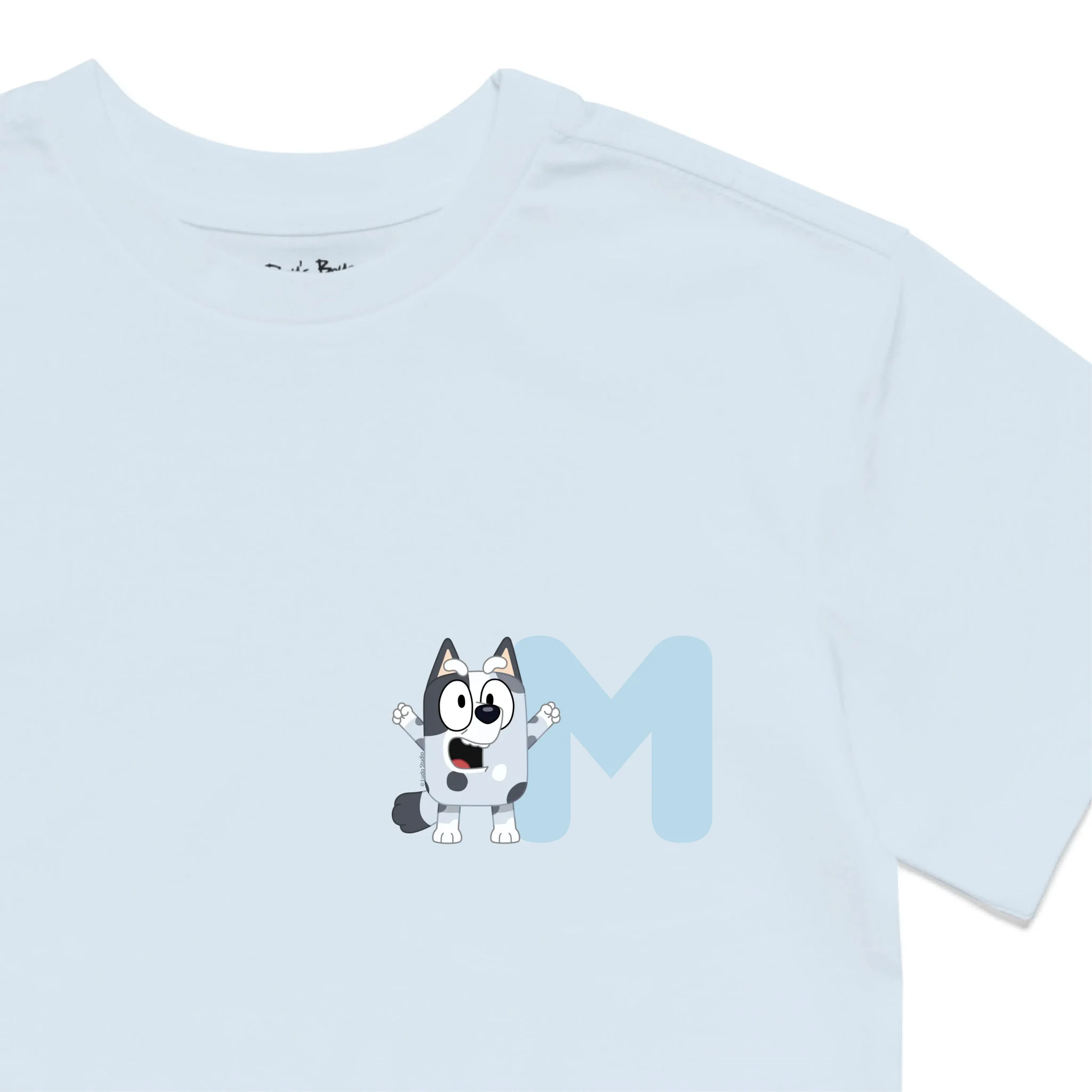 Roys Boys BLUE T-Shirt Imagery_0010_Older Kids Front Zoomed In-01