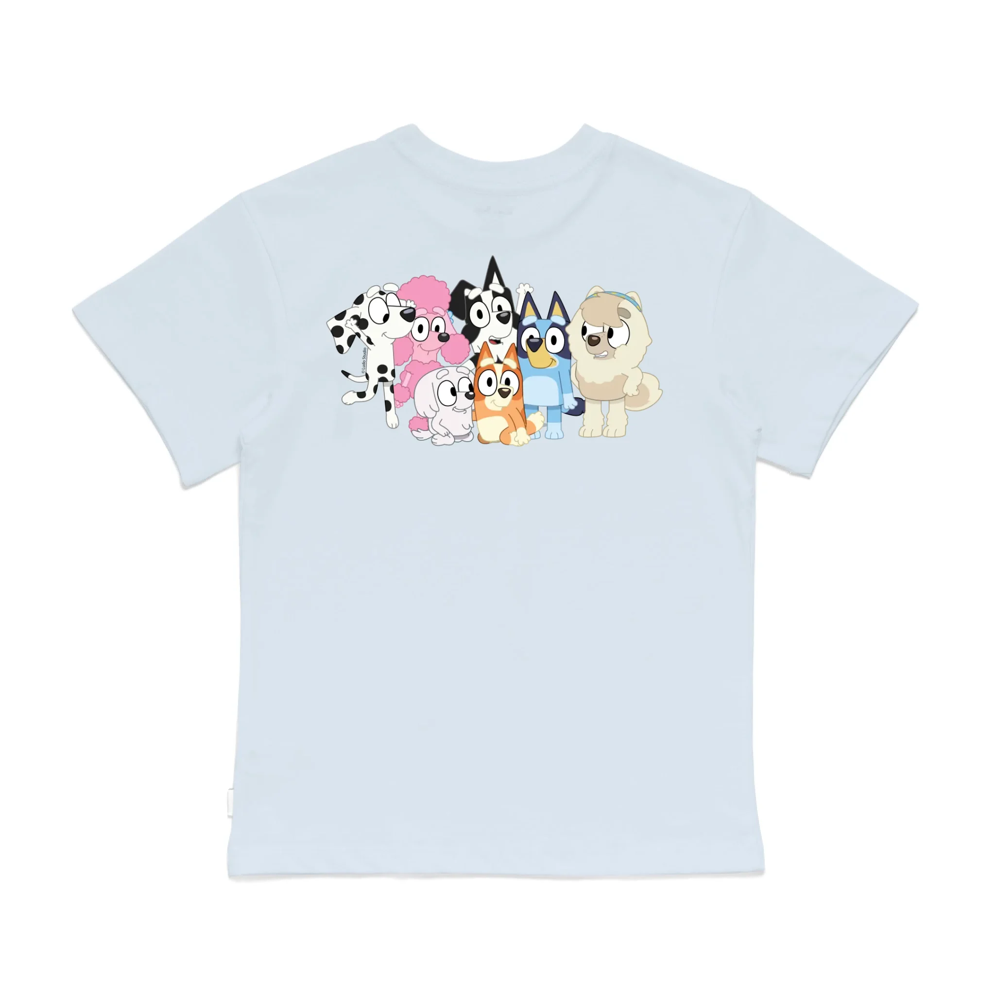 Roys Boys Bue T-Shirt Imagery_0008_Older Kids Back
