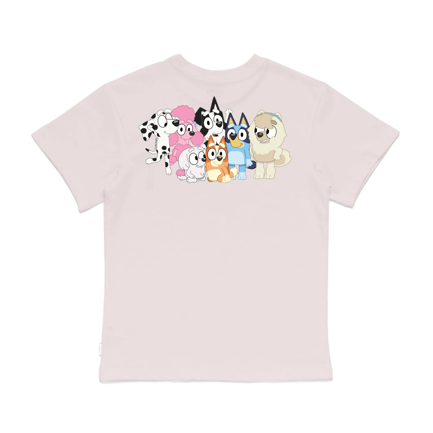 Roys Boys Pink T-Shirt Imagery_0008_Older Kids Back