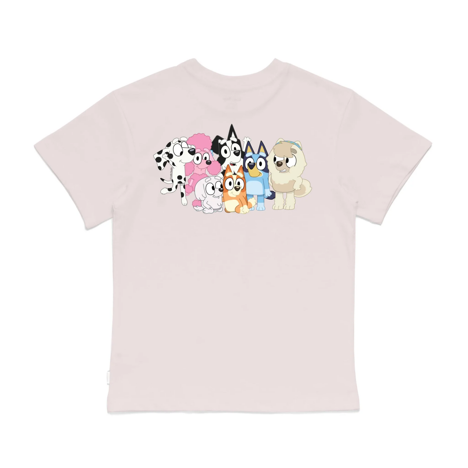 Roys Boys Pink T-Shirt Imagery_0008_Older Kids Back