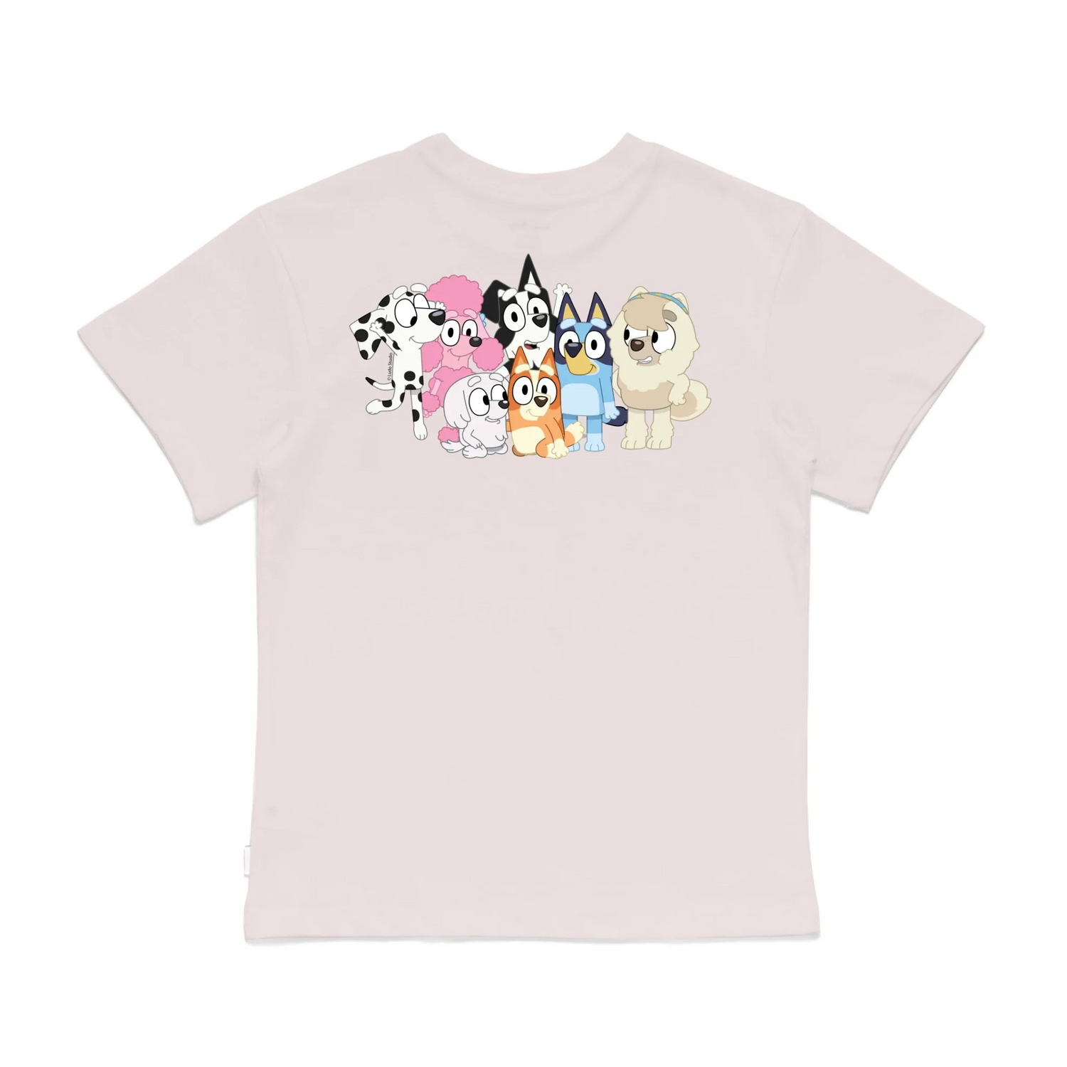 Roys Boys Pink T-Shirt Imagery_0008_Older Kids Back
