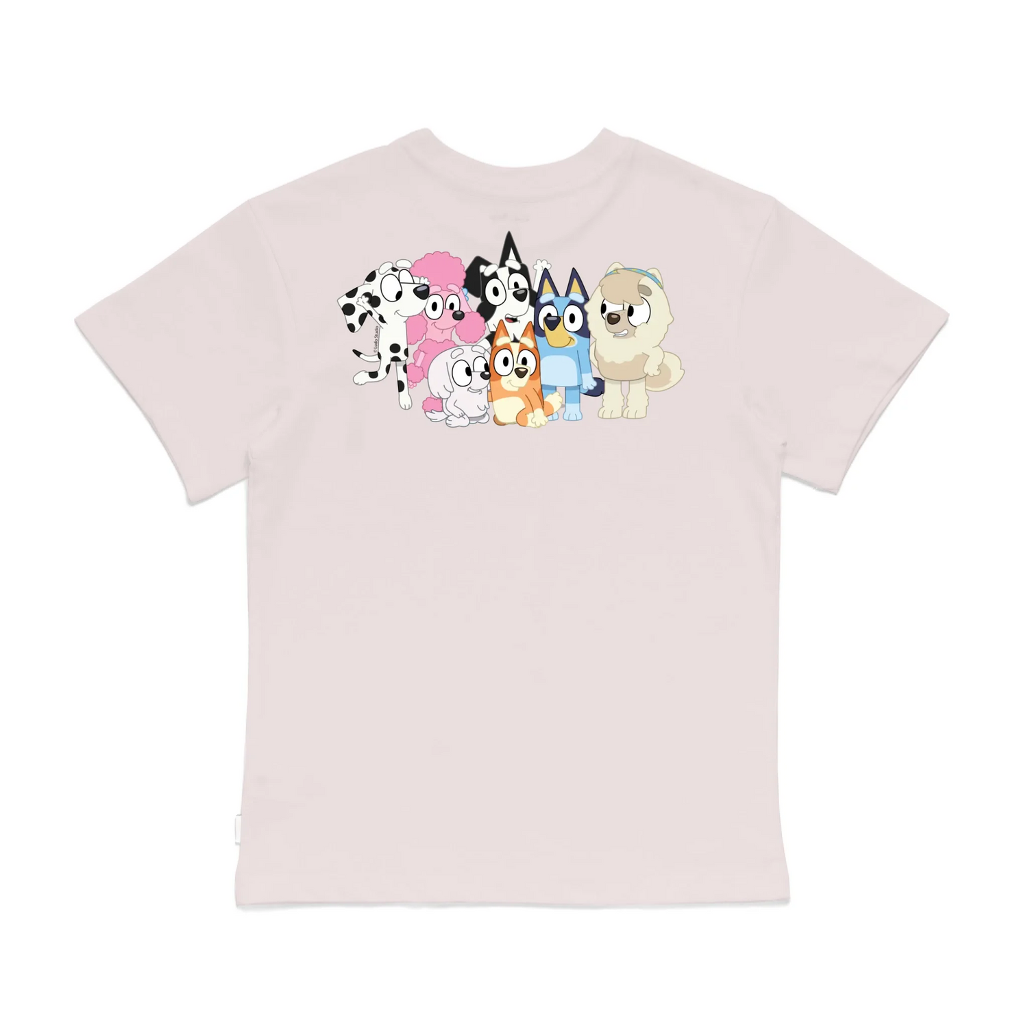 Roys Boys Pink T-Shirt Imagery_0008_Older Kids Back