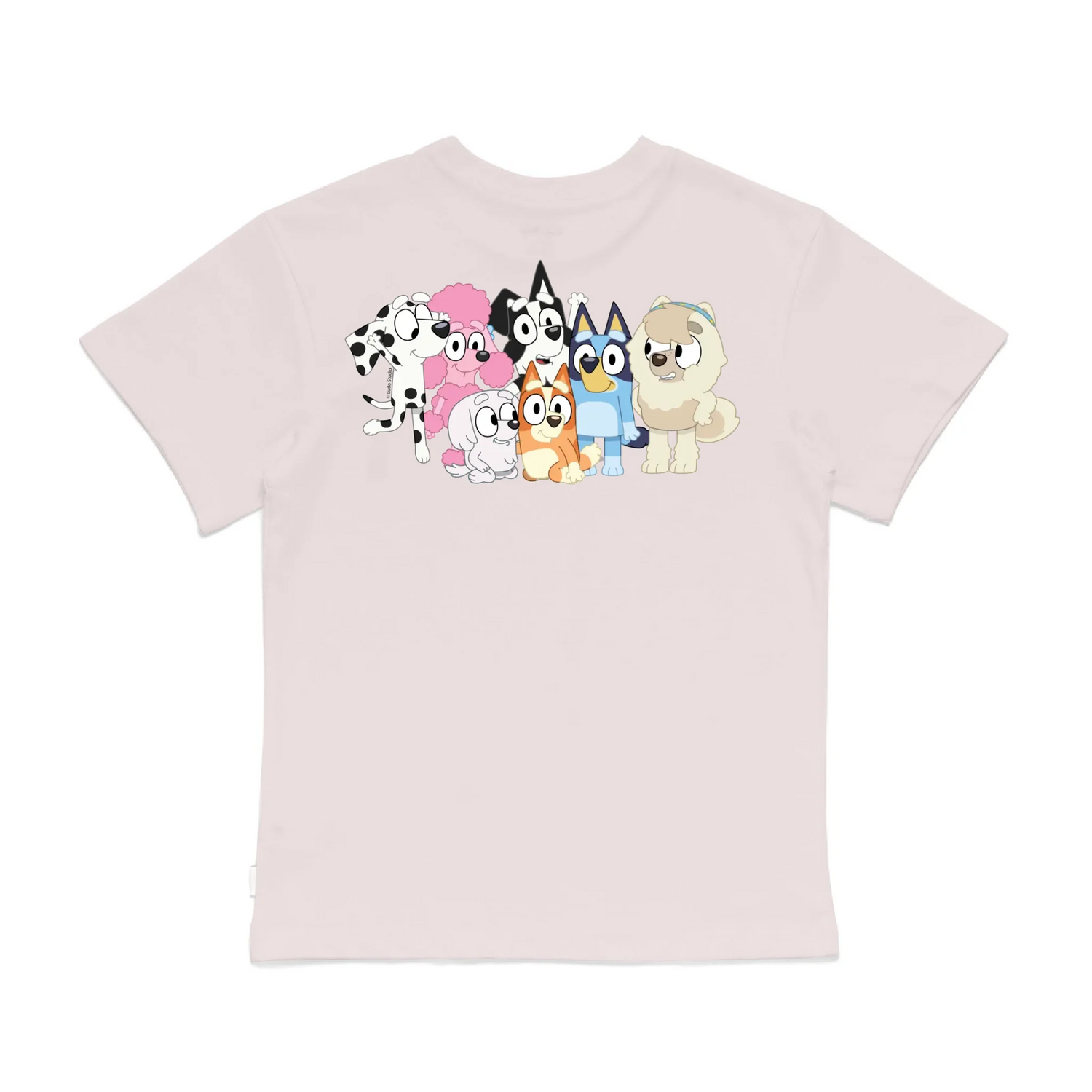 Roys Boys Pink T-Shirt Imagery_0008_Older Kids Back