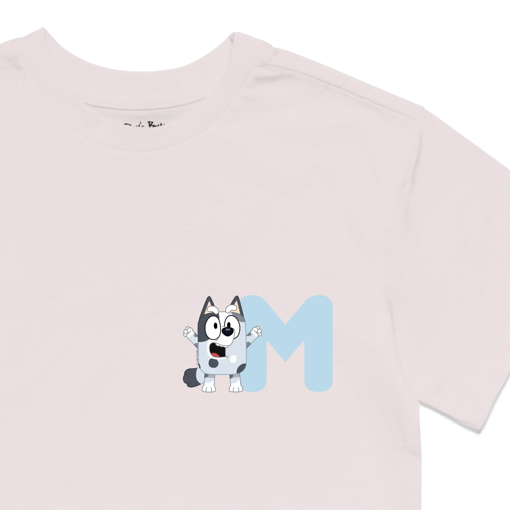 Roys Boys PINK T-Shirt Imagery_0010_Older Kids Front Zoomed In-01