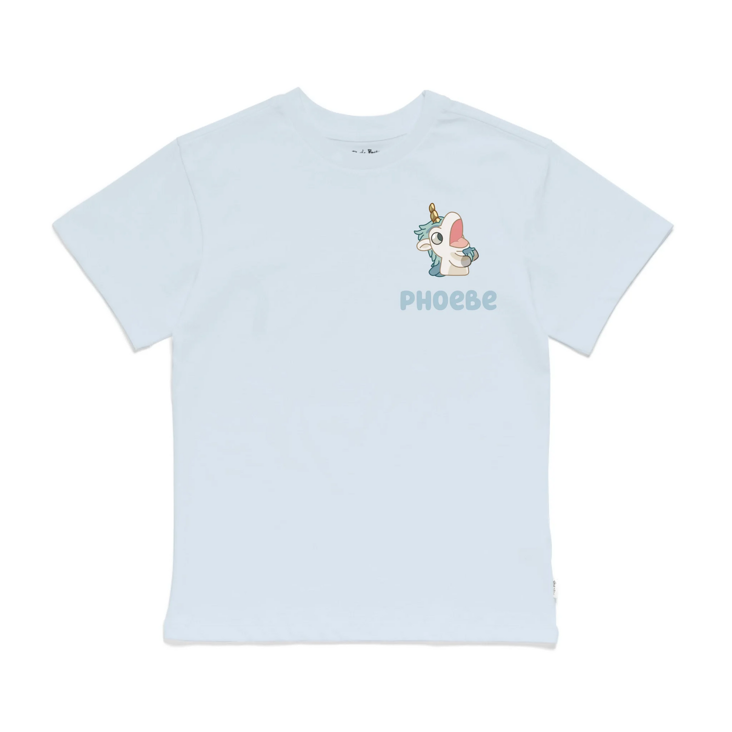 Roys Boys Blue T-Shirt Imagery_0009_Older Kids Front
