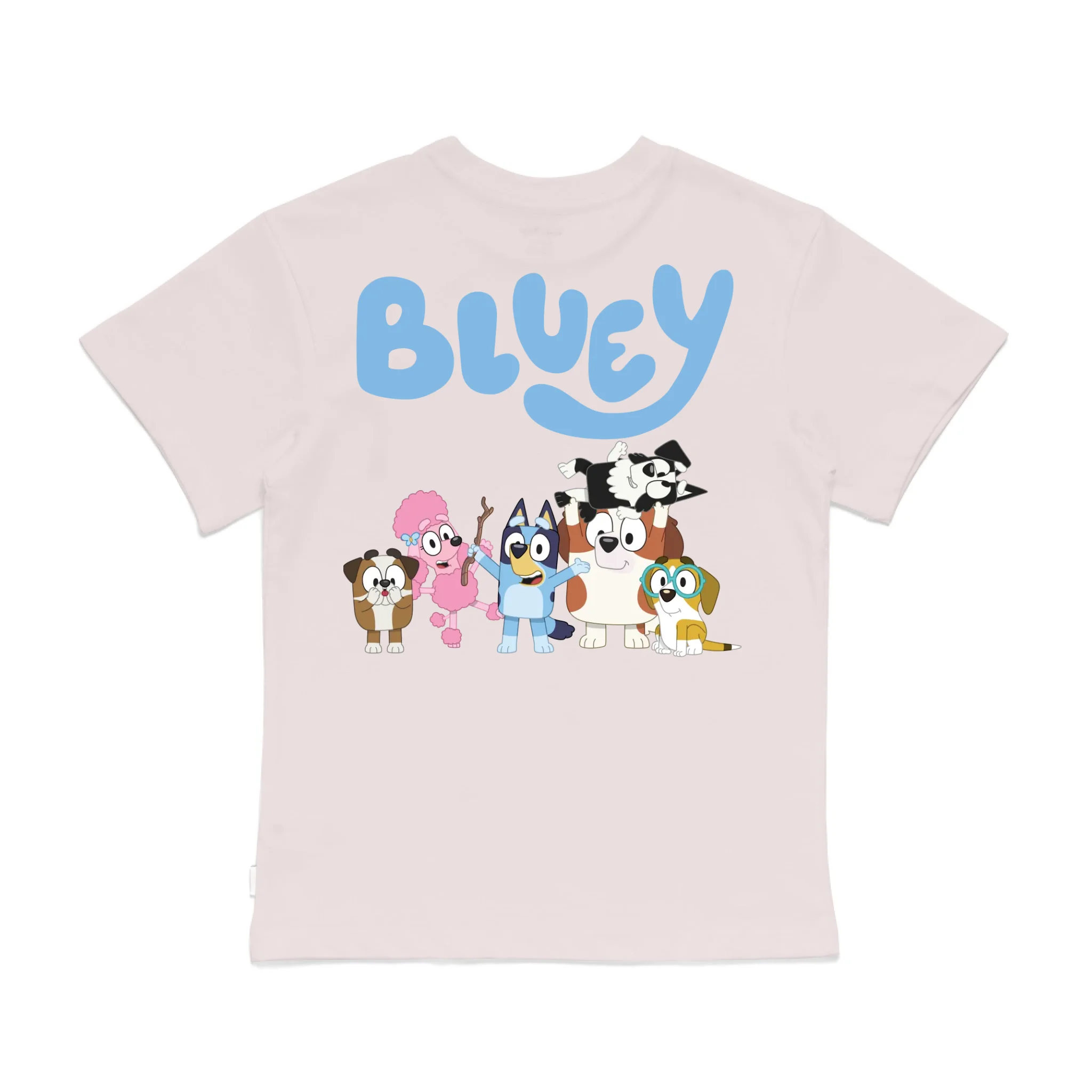 Roys Boys Pink T-Shirt Imagery_0008_Older Kids Back