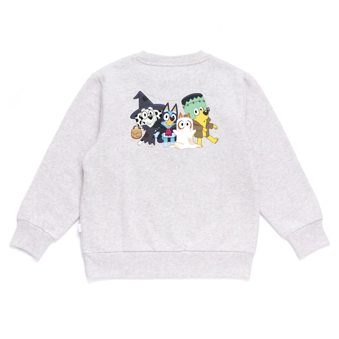 Gray sweatshirt with cartoon characters on the back against a white background