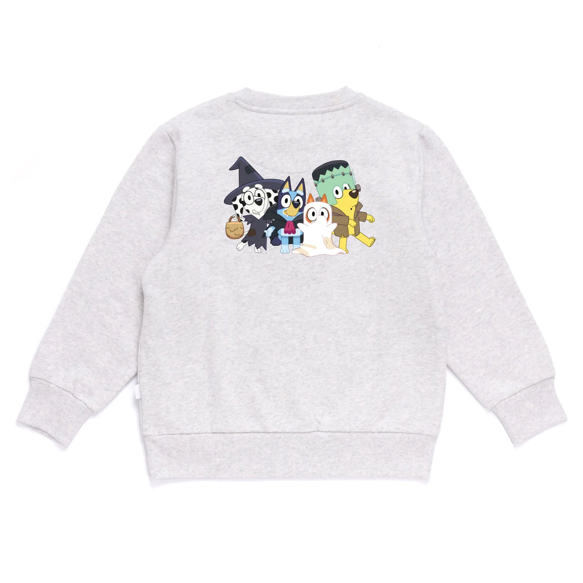 Gray sweatshirt with cartoon characters on the back against a white background
