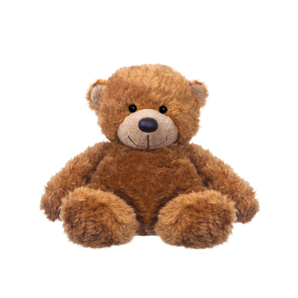 Brown Teddy Bear on White Background